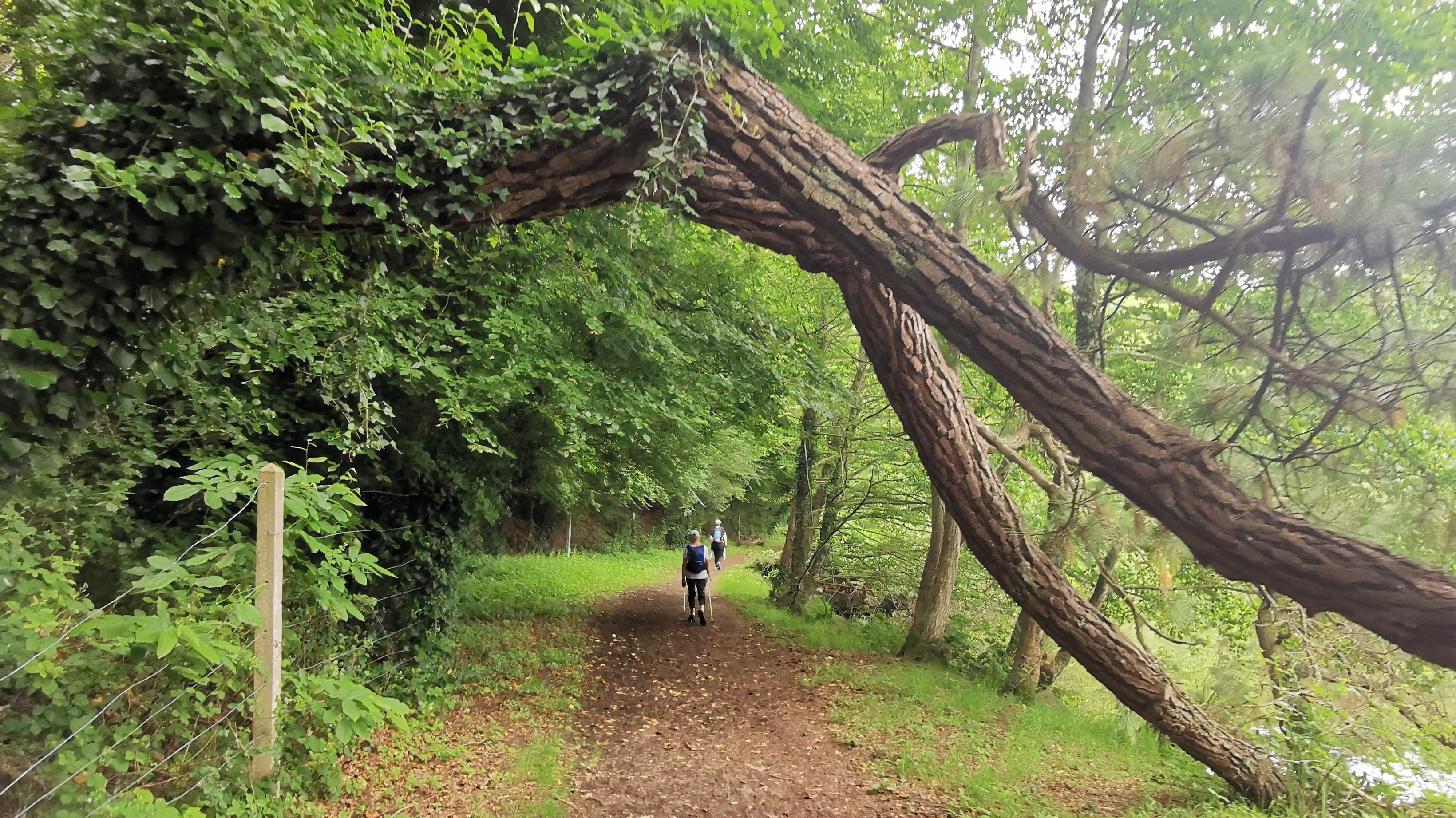 049-IMG_20210606_103606