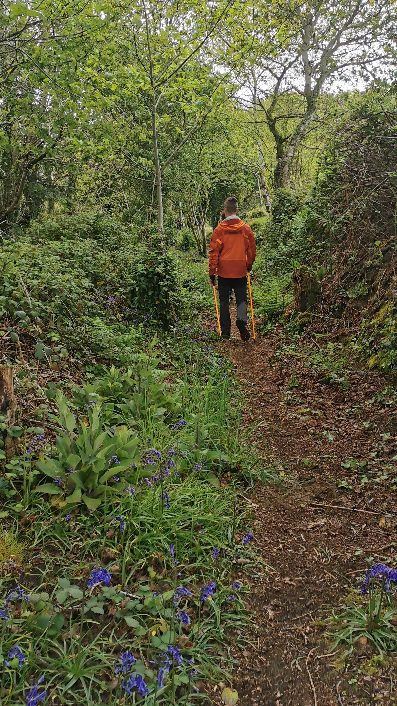 22-IMG_20210508_101941_1