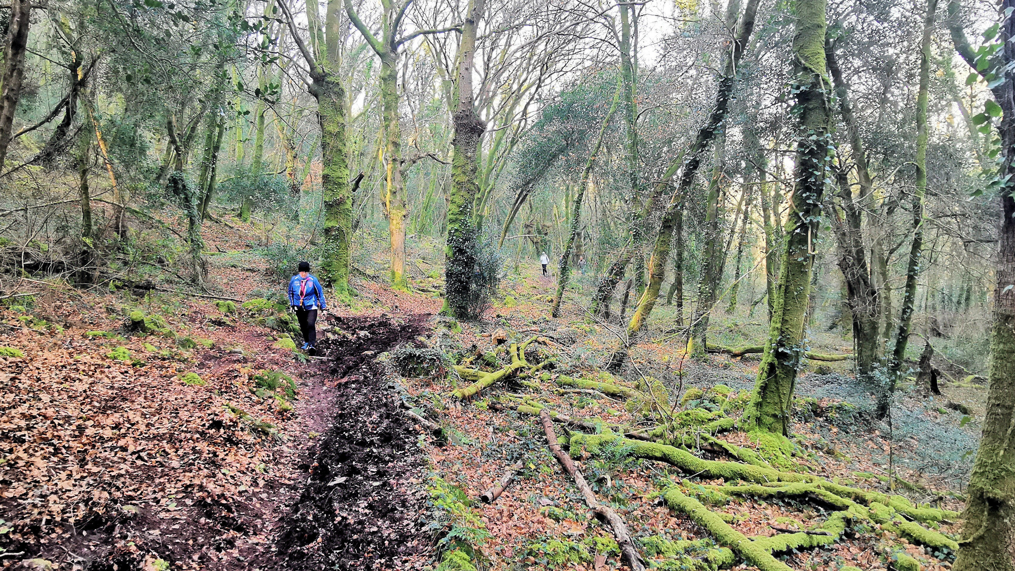 21-IMG_20210307_101110