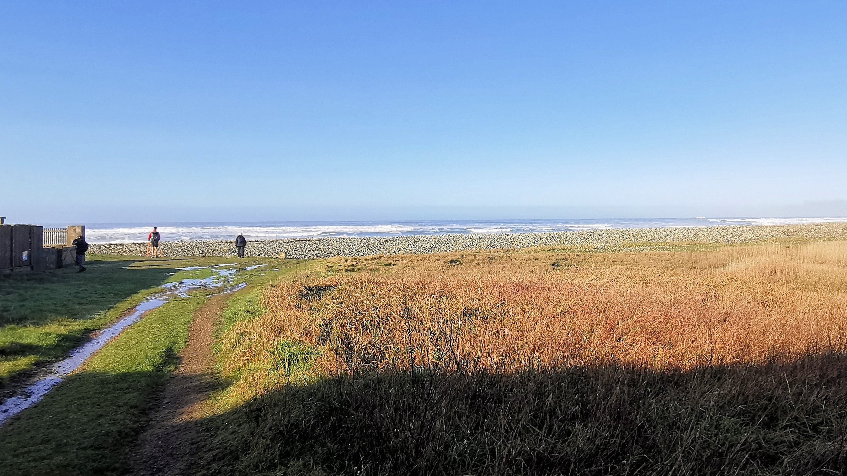 015-IMG_20210222_103534