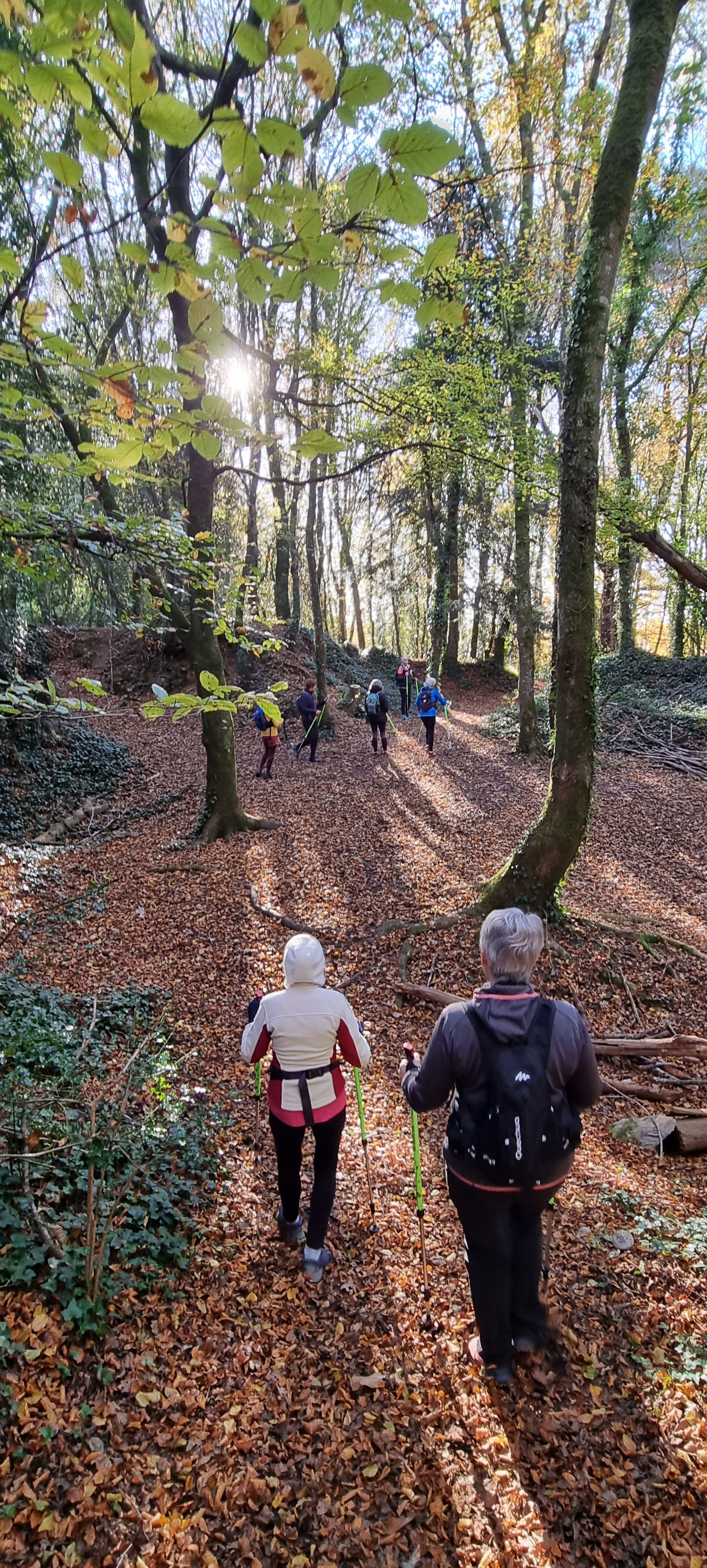 45-20211123_110410(0)