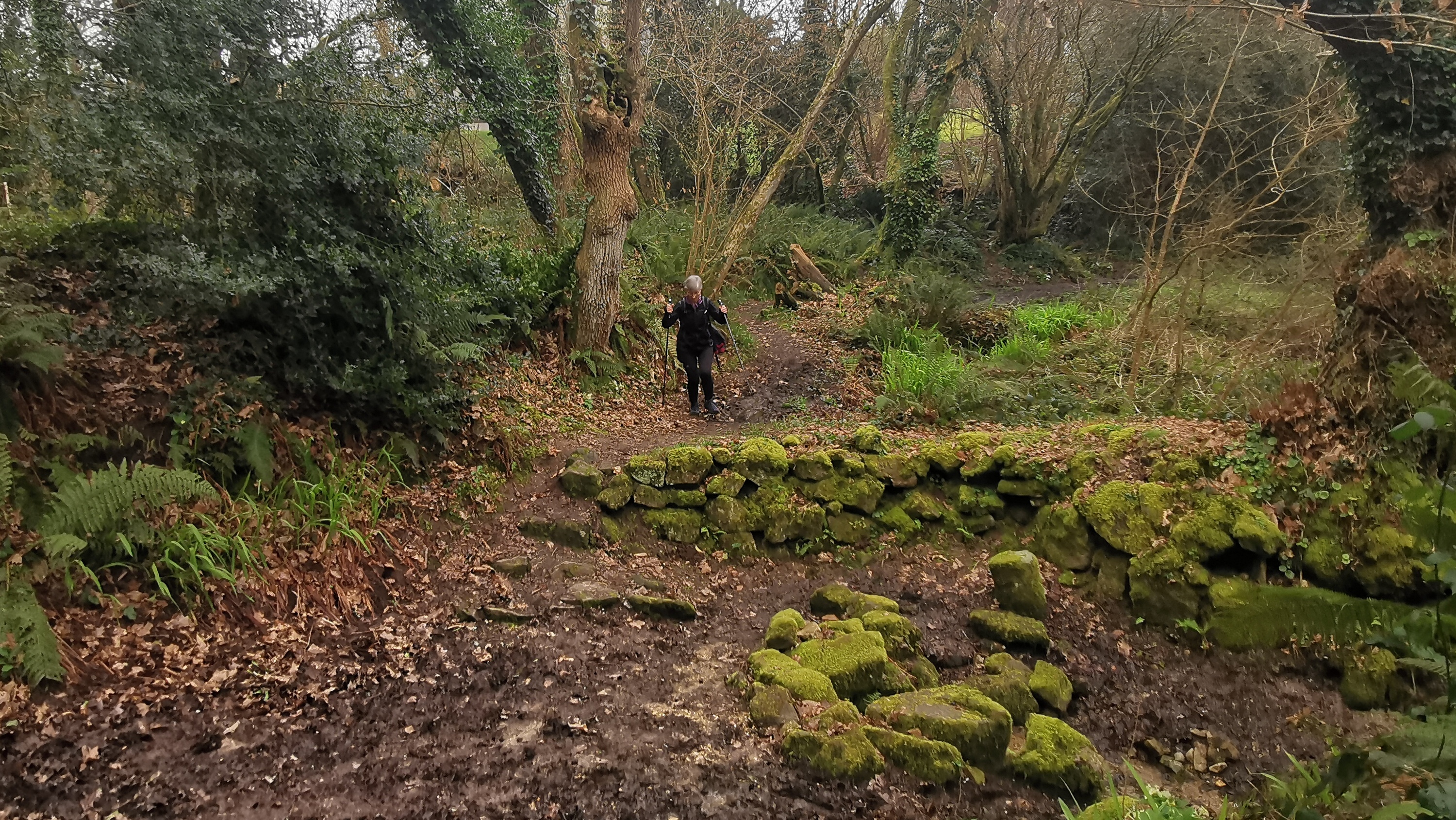 35-IMG_20210304_104008