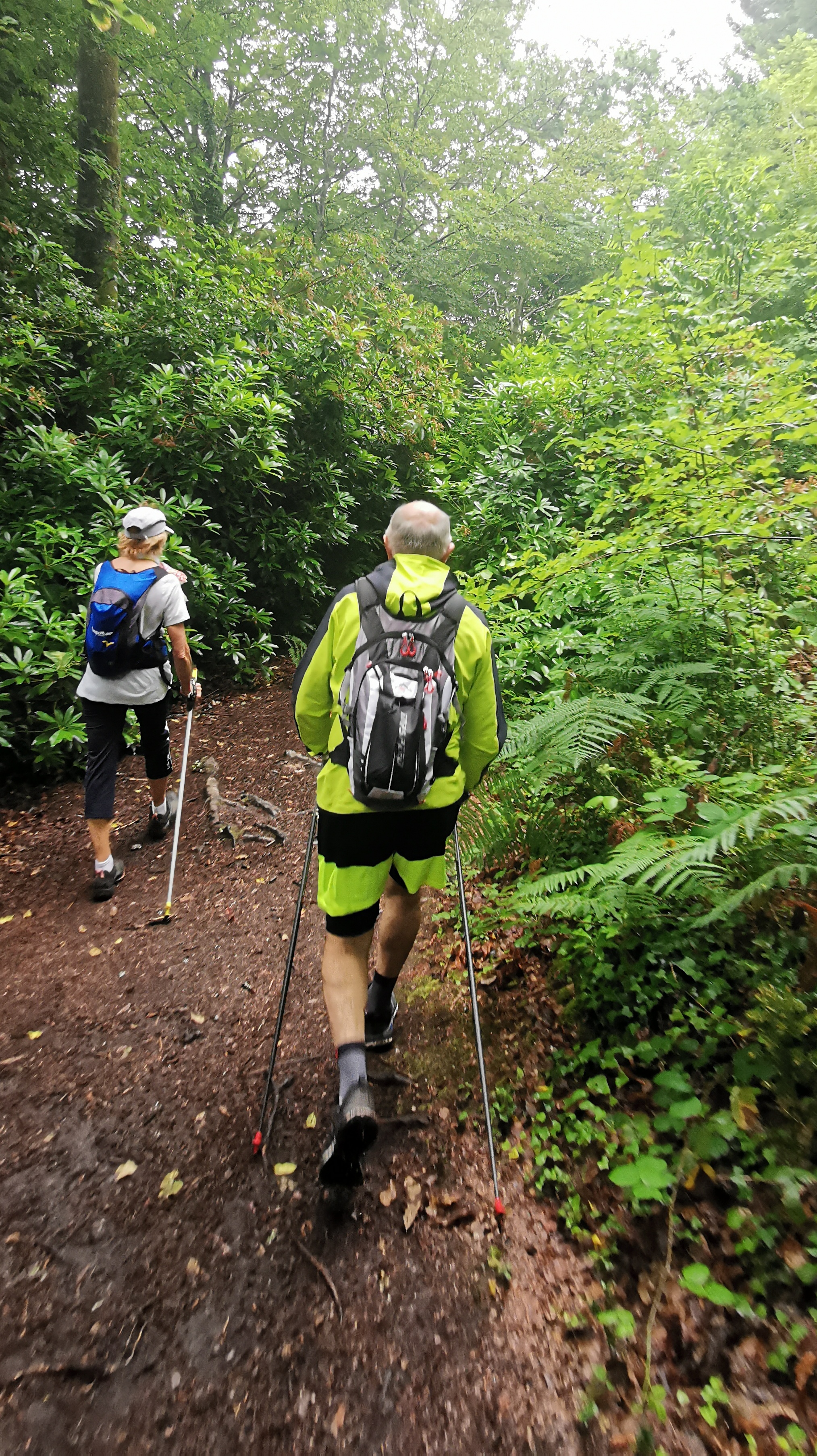 19-IMG_20210617_103325