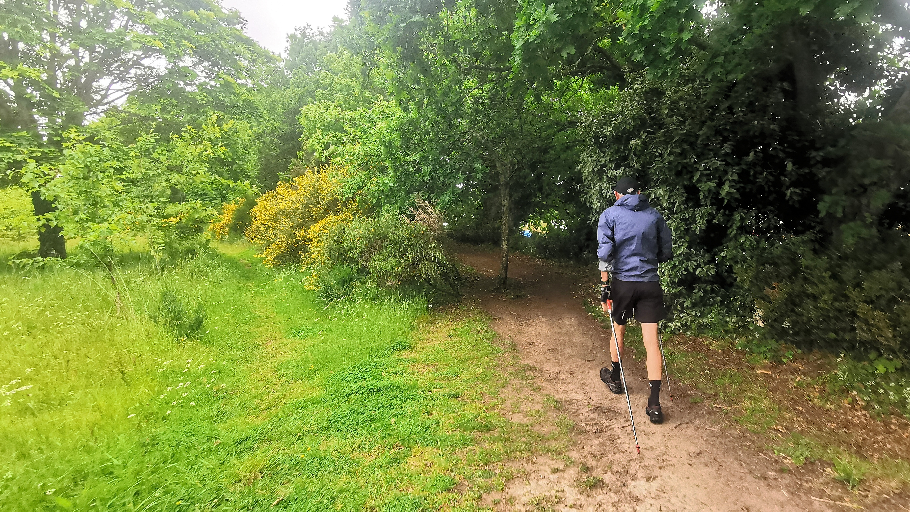 01-IMG_20210520_093707