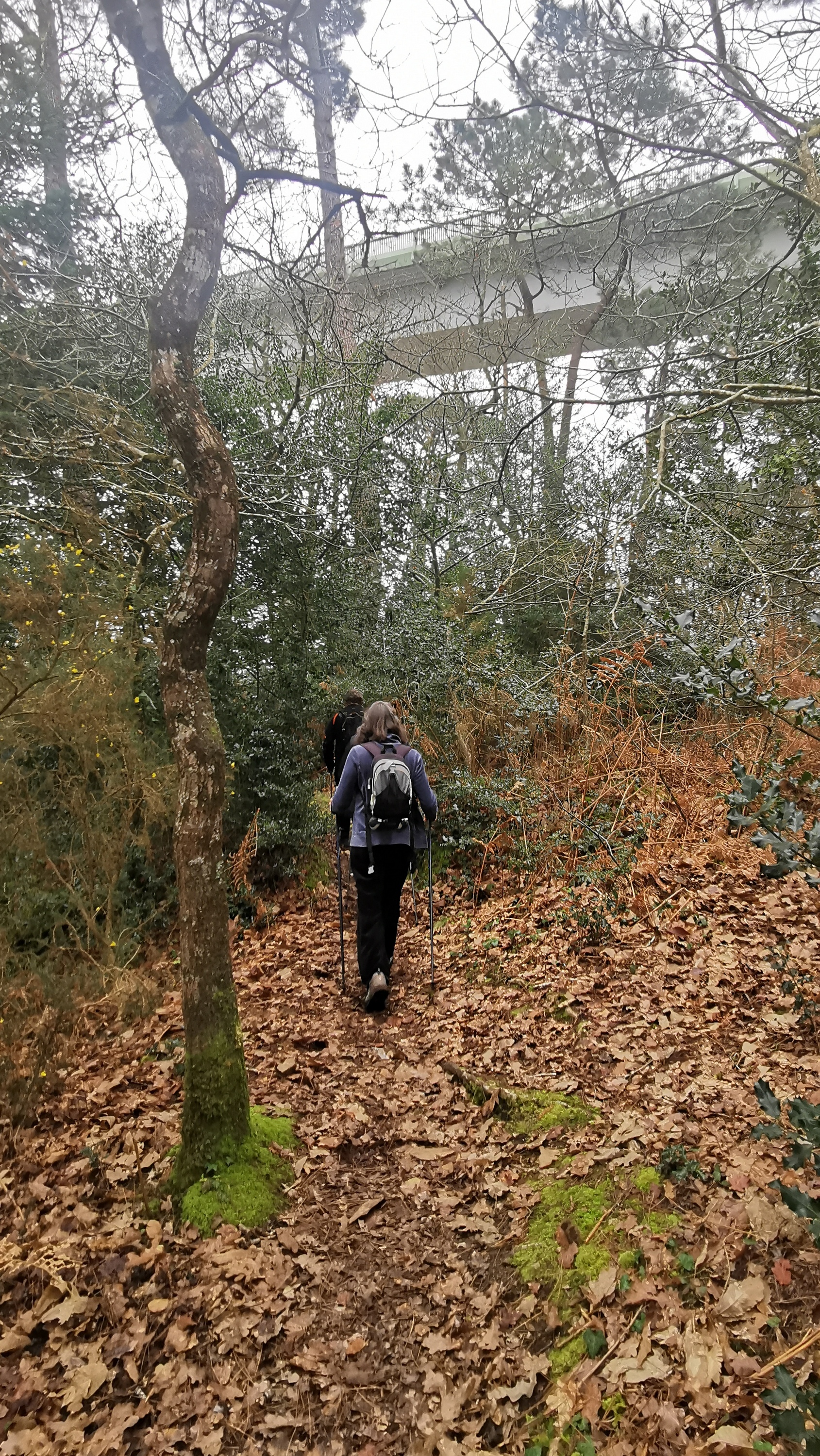 68-IMG_20210304_112559