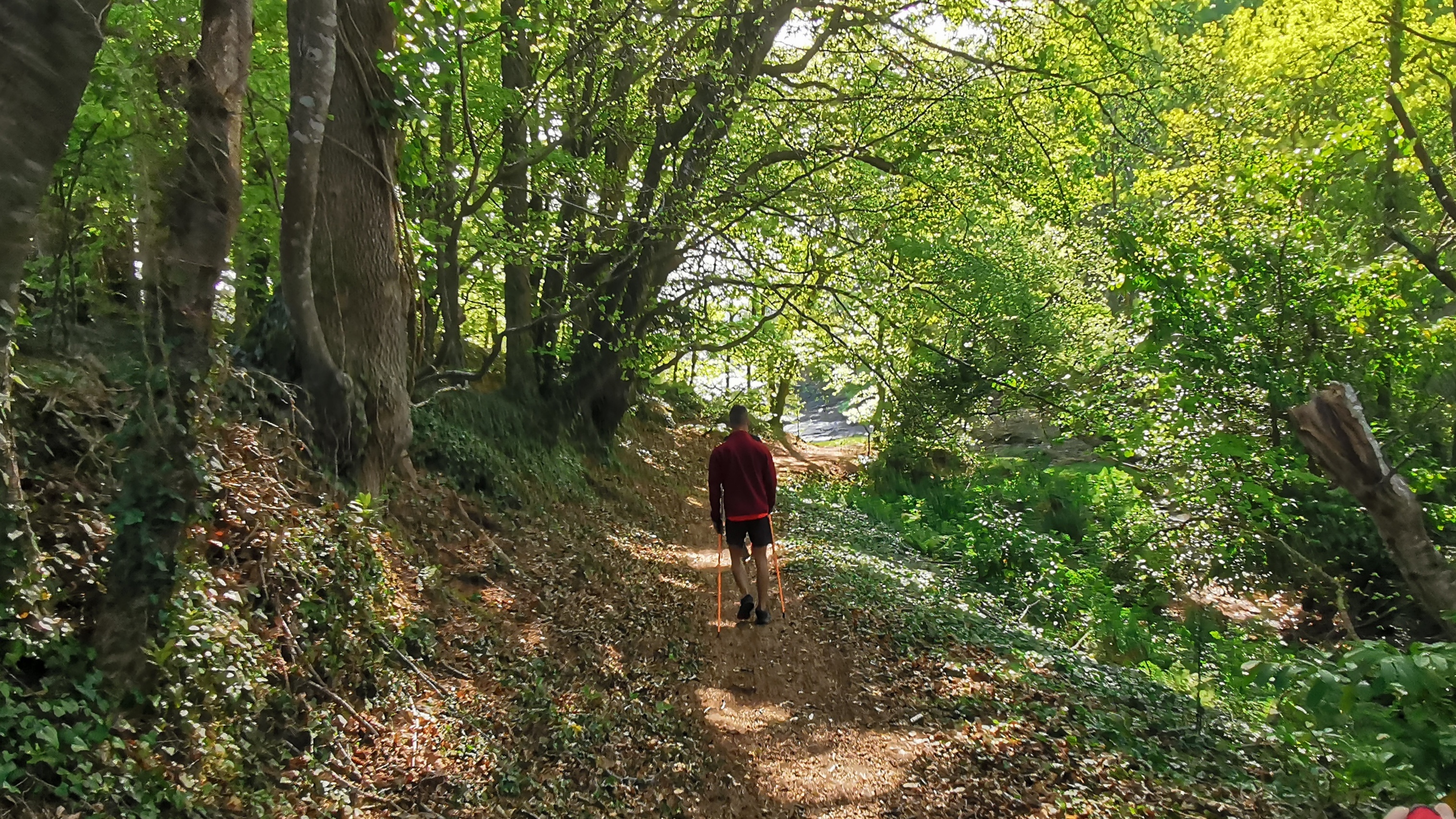 17-IMG_20210425_102053_1