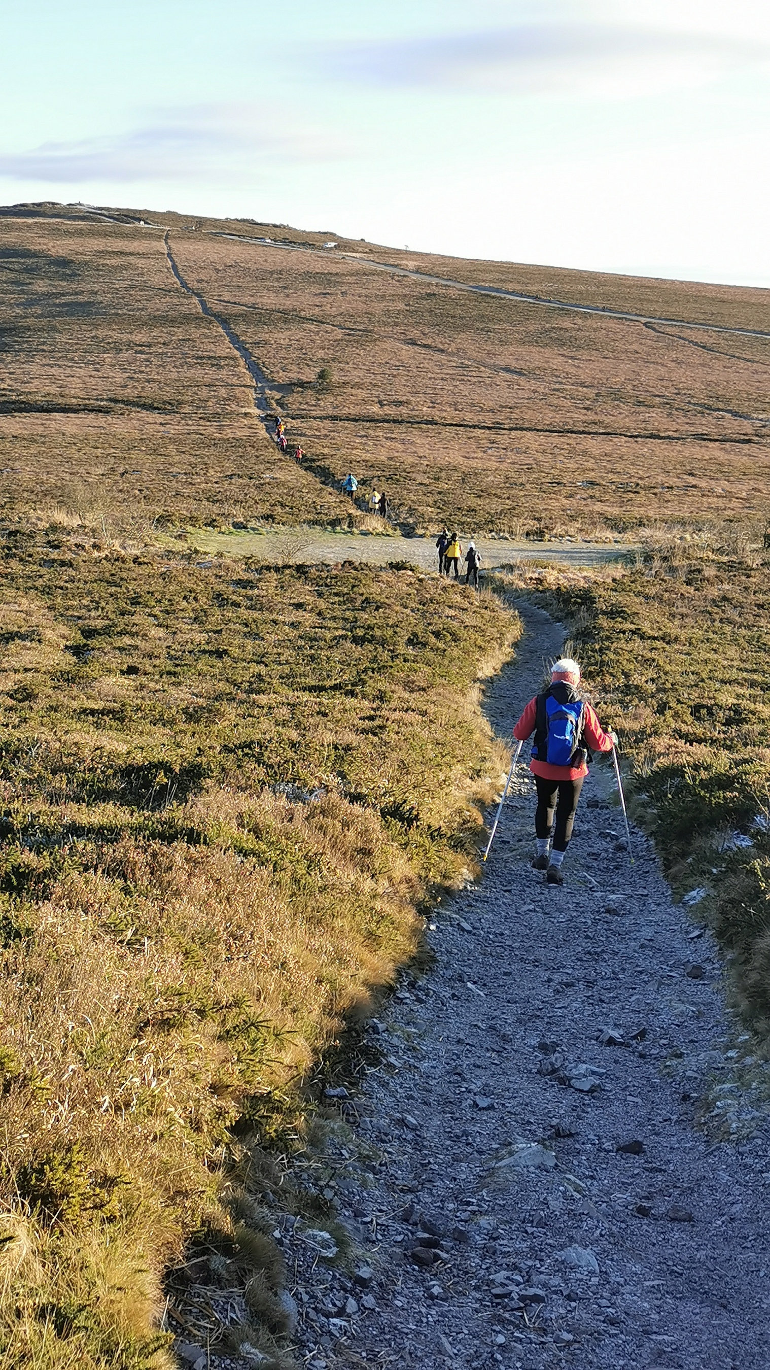 028-IMG_20210110_101225