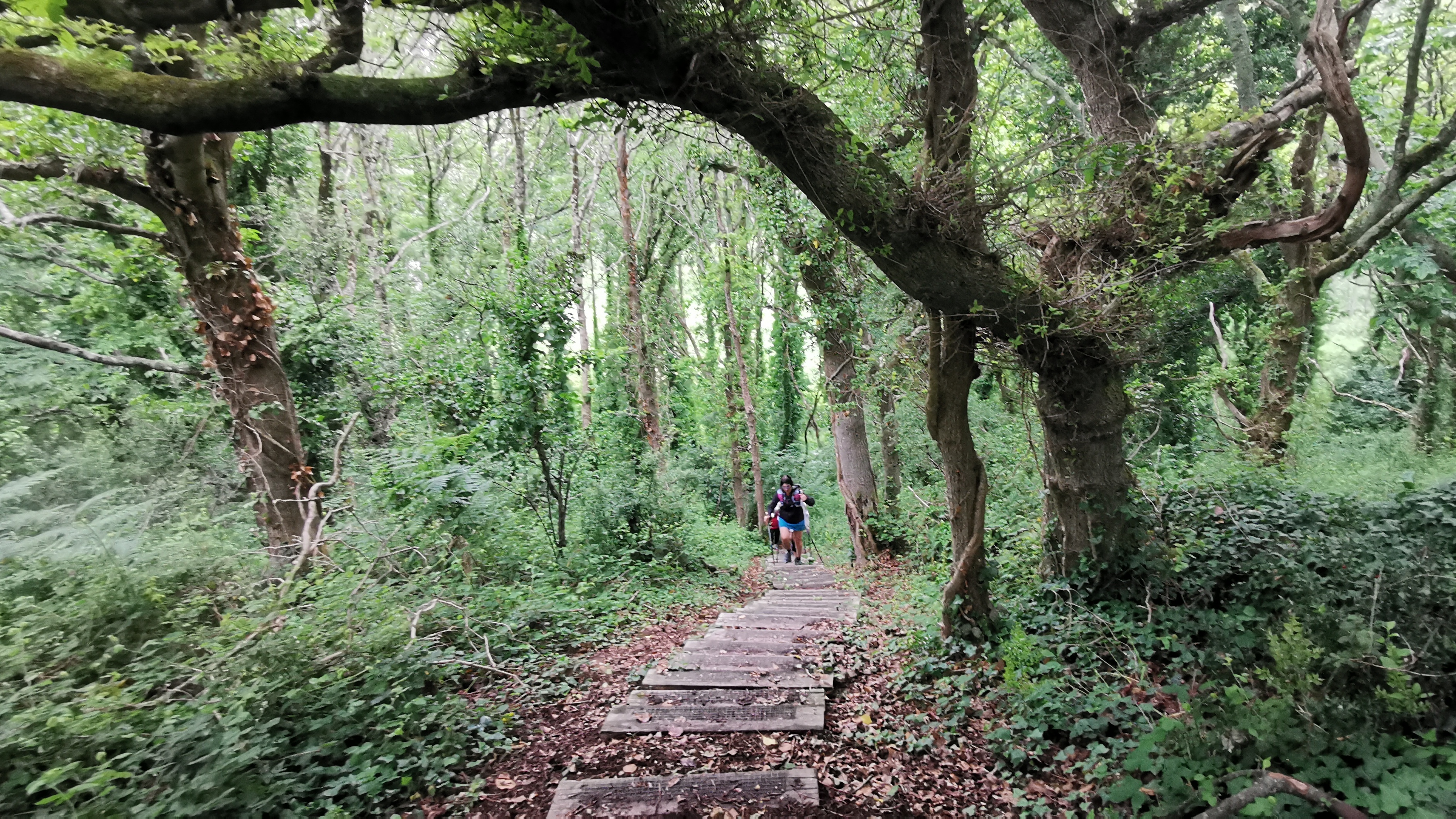 125-IMG_20210620_110740