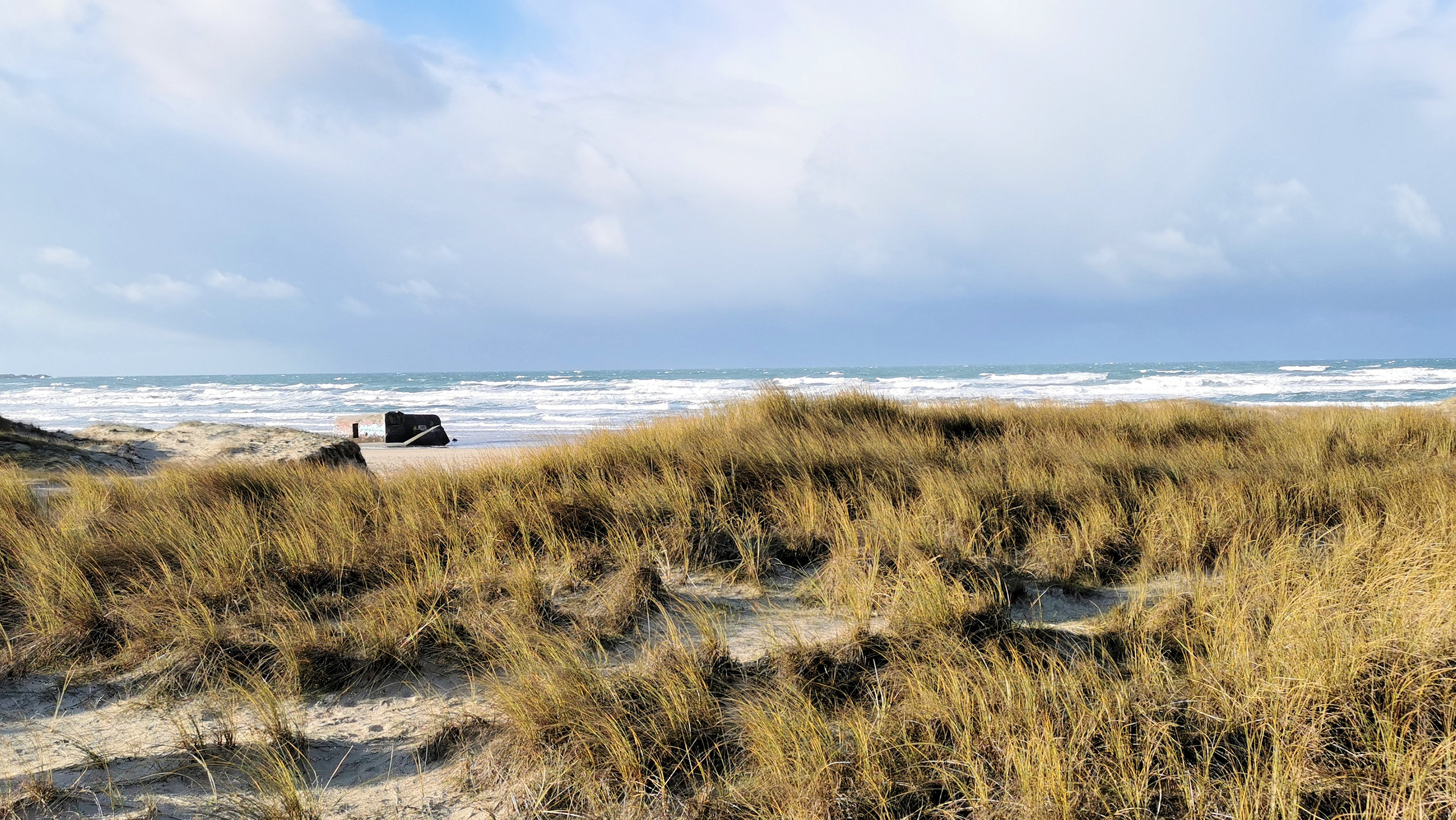 48-IMG_20210124_104632