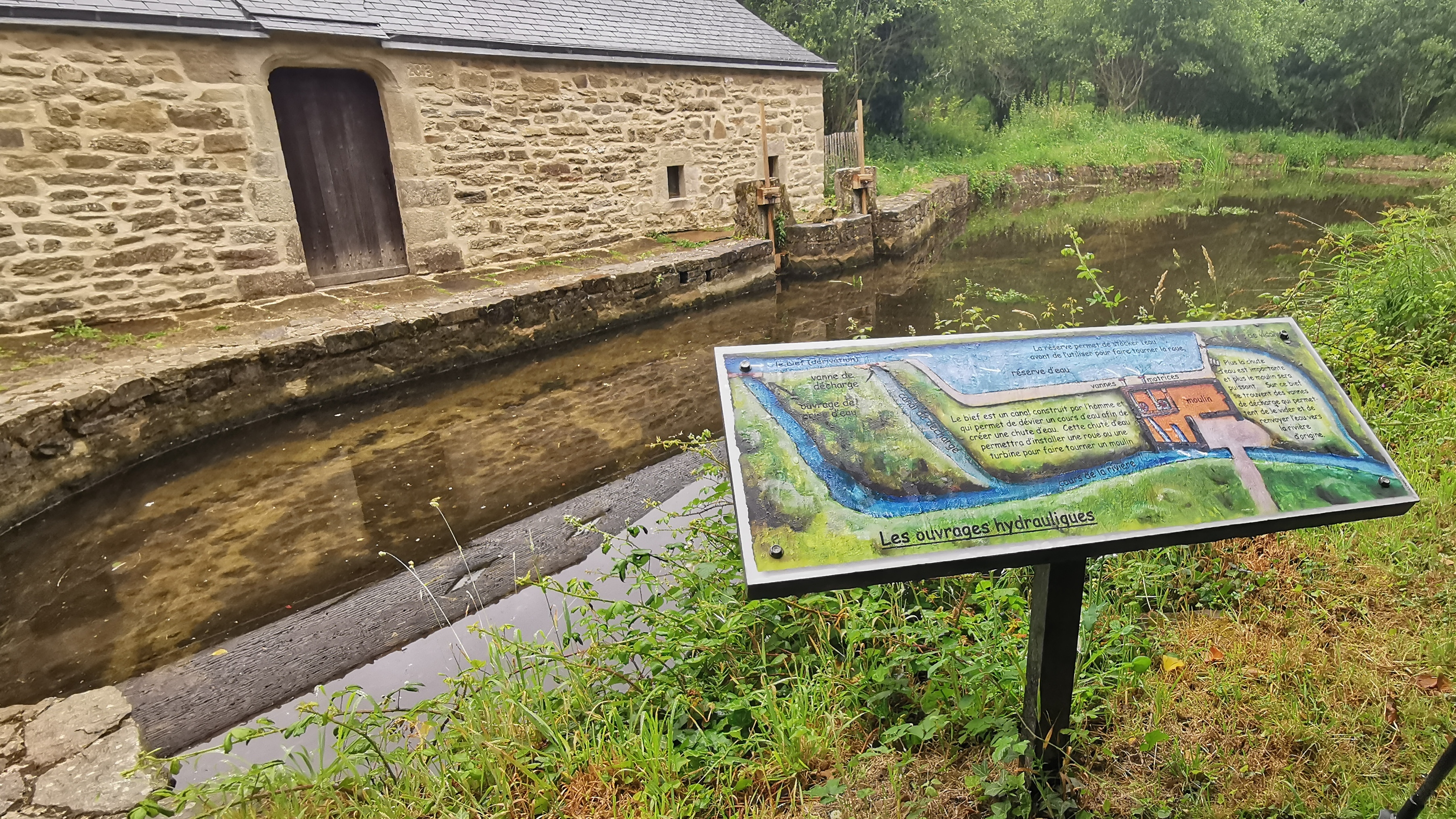 112-IMG_20210620_110330