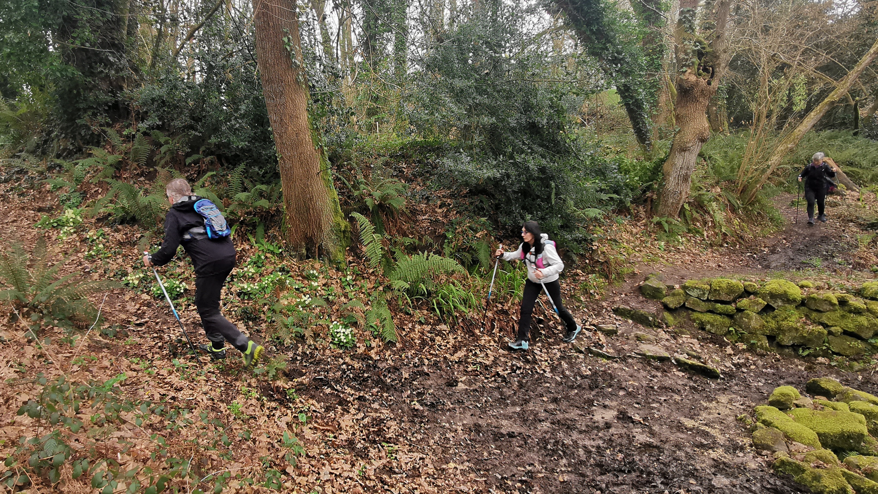 34-IMG_20210304_104005