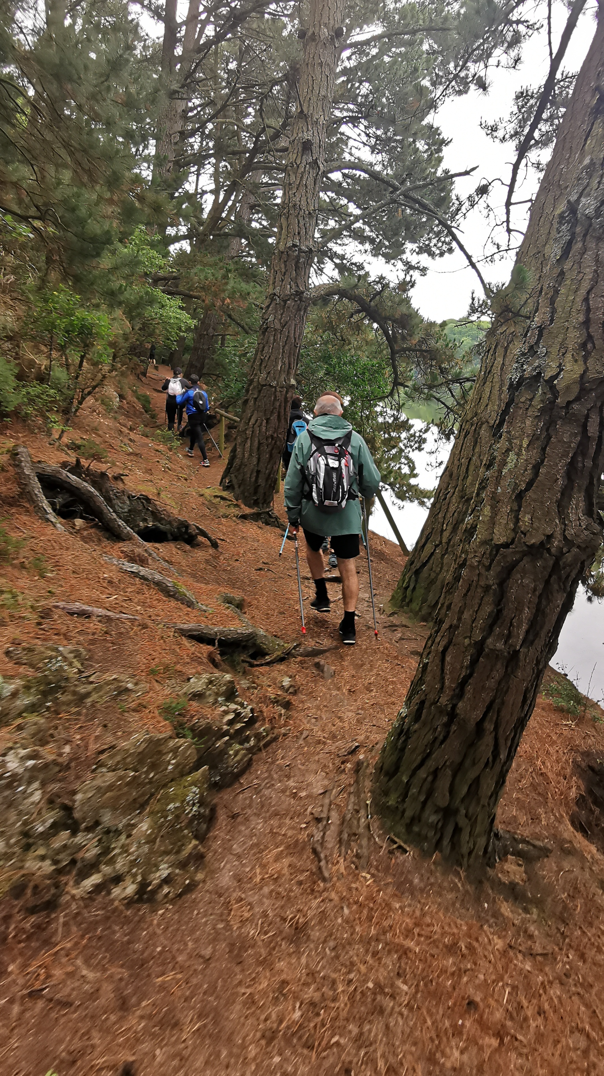 010-IMG_20210606_094037