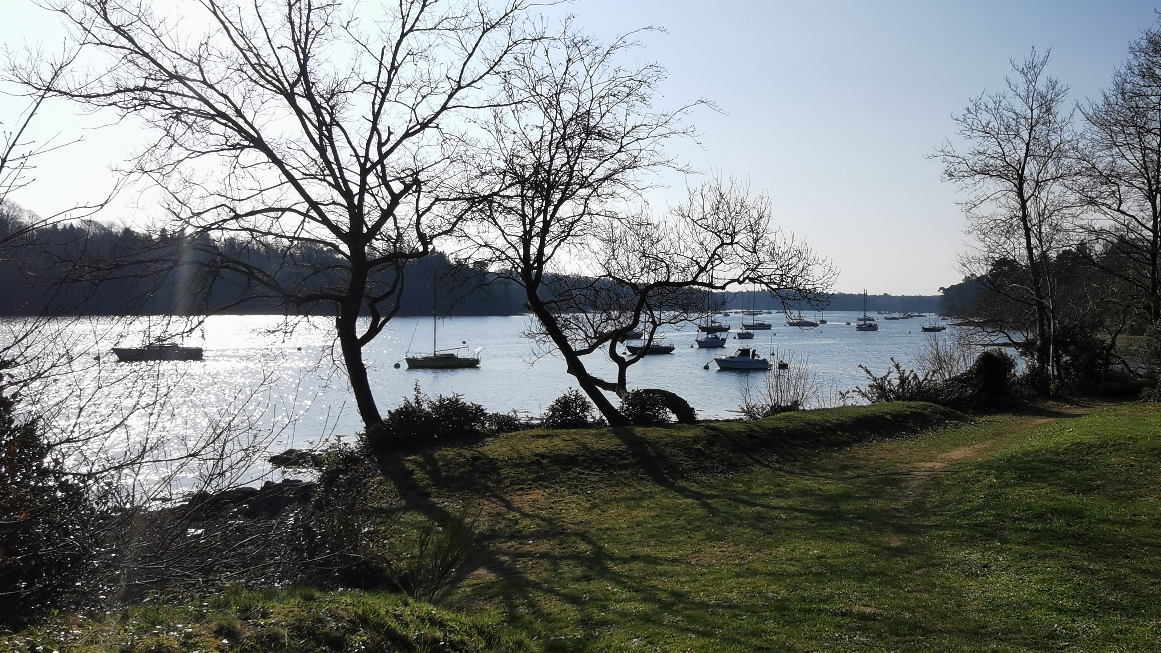 17-IMG_20210308_102946