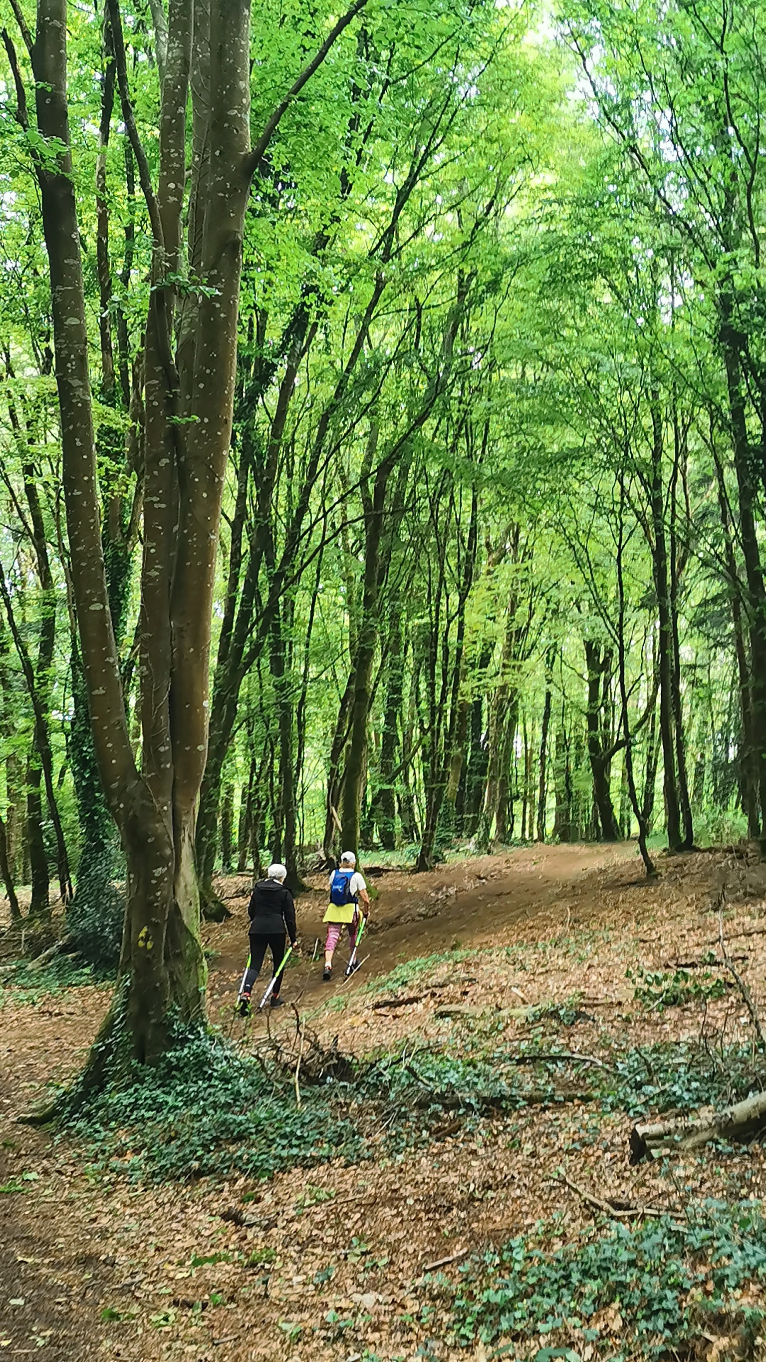 10-IMG_20210518_101523