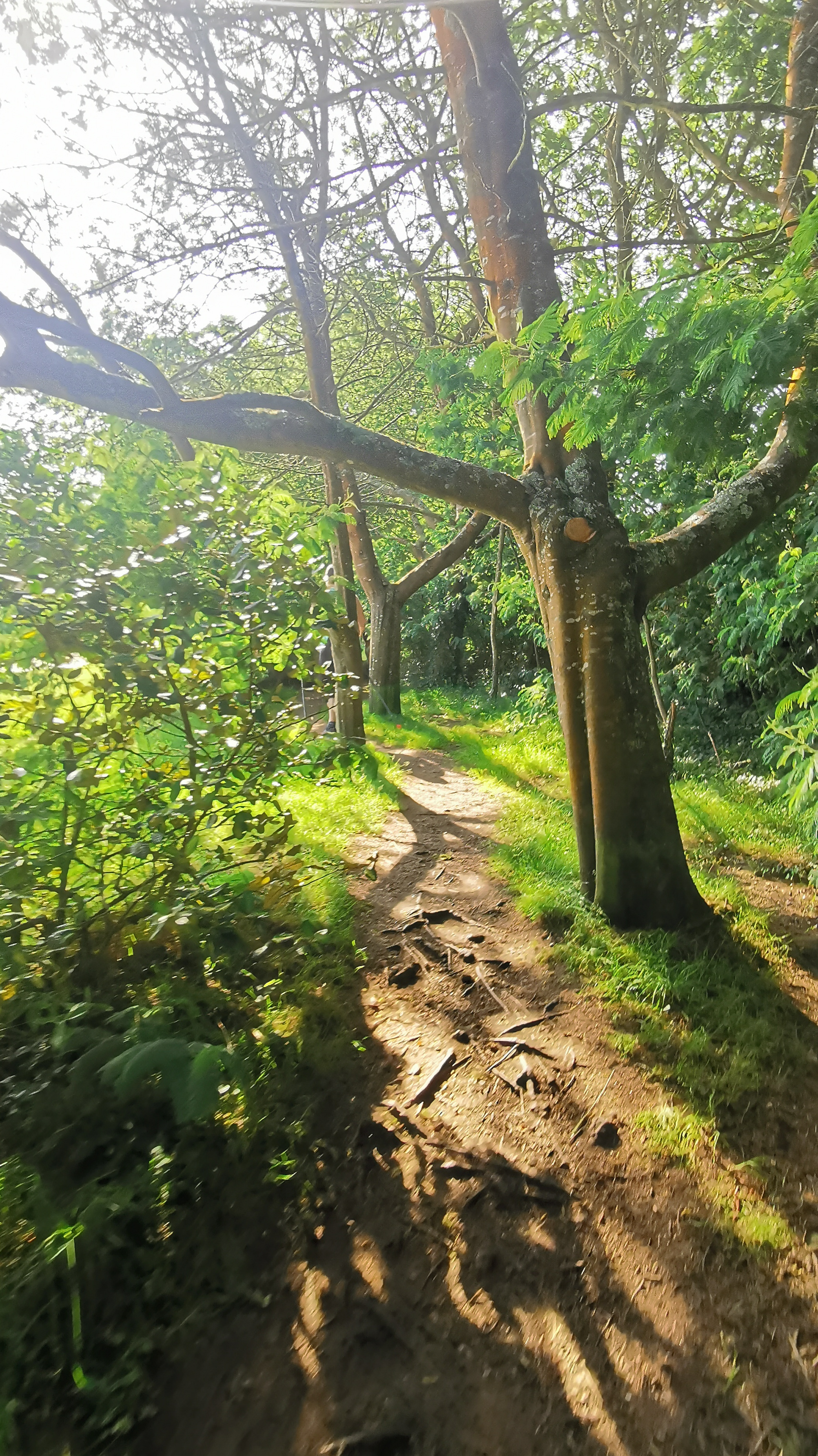 033-IMG_20210718_100904