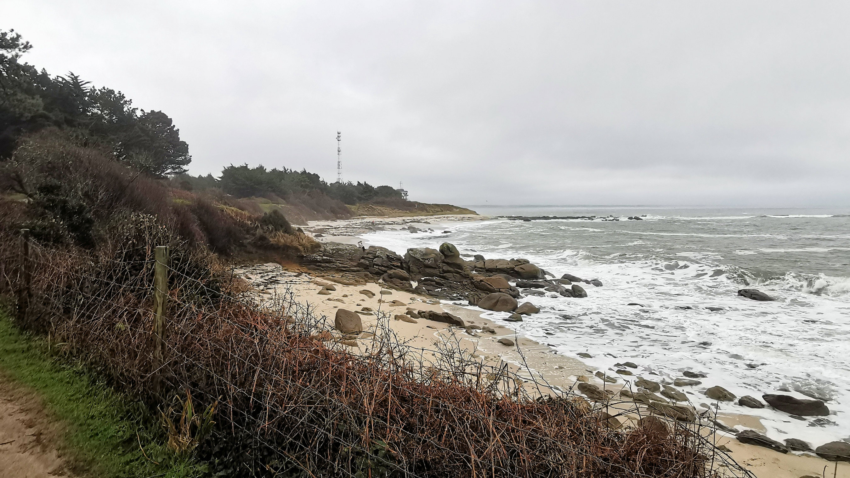 22-IMG_20210221_104515