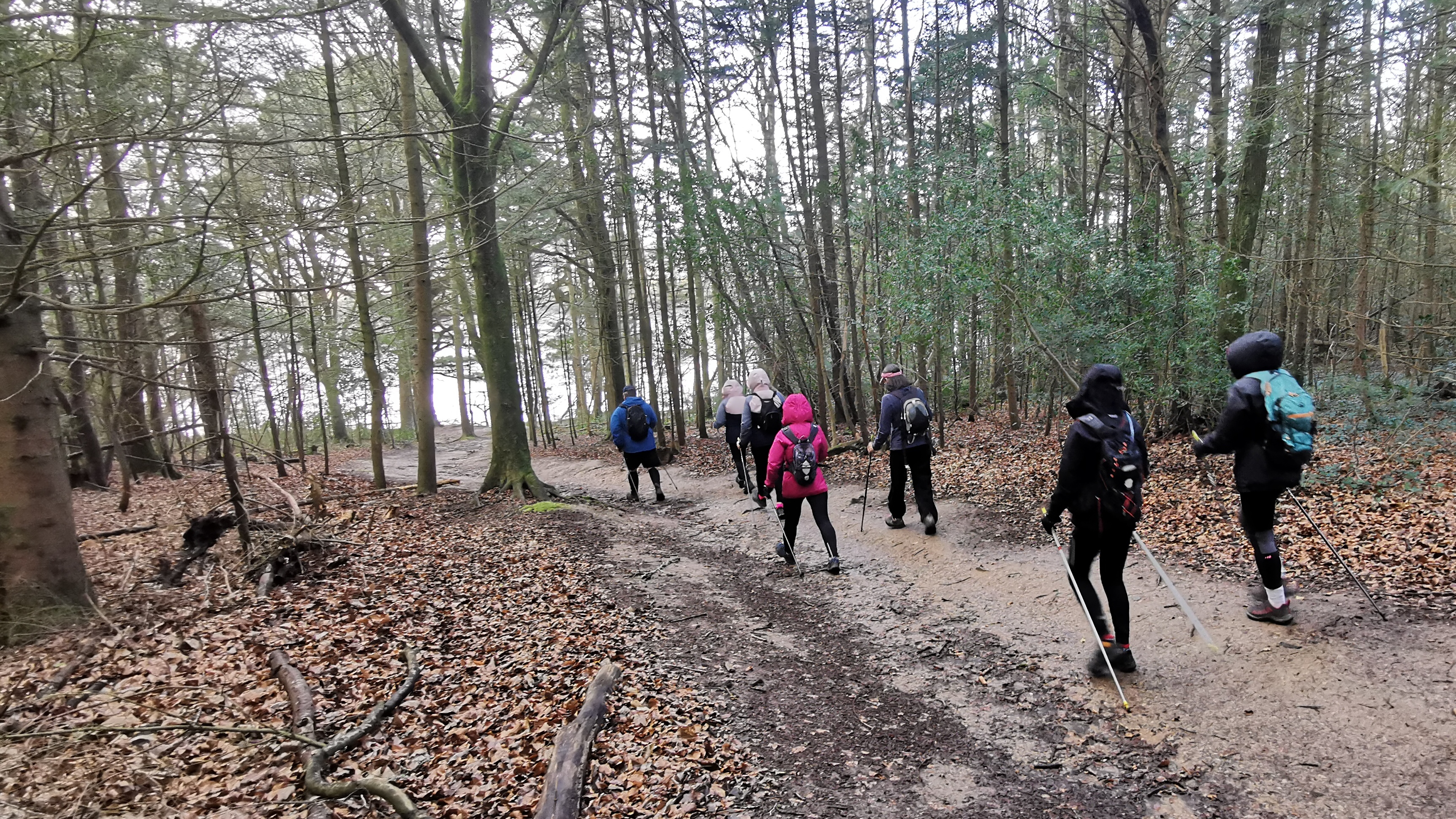 31-IMG_20210311_105138