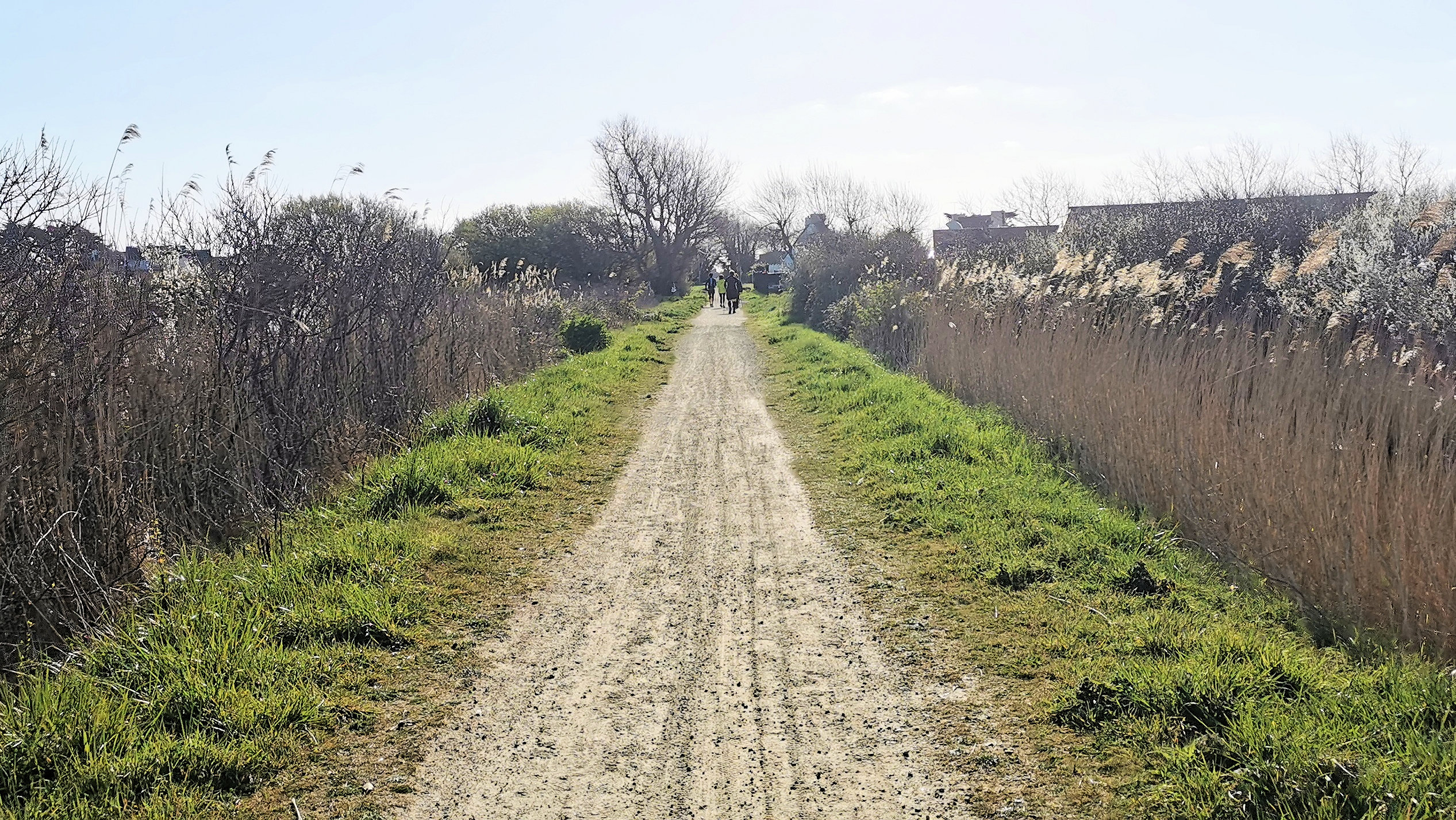 17-IMG_20210403_102800_1