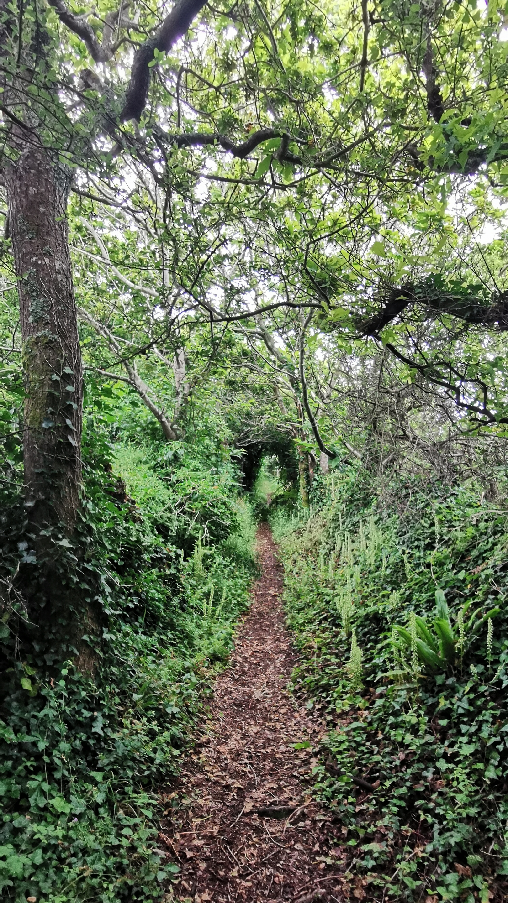 154-IMG_20210620_114047