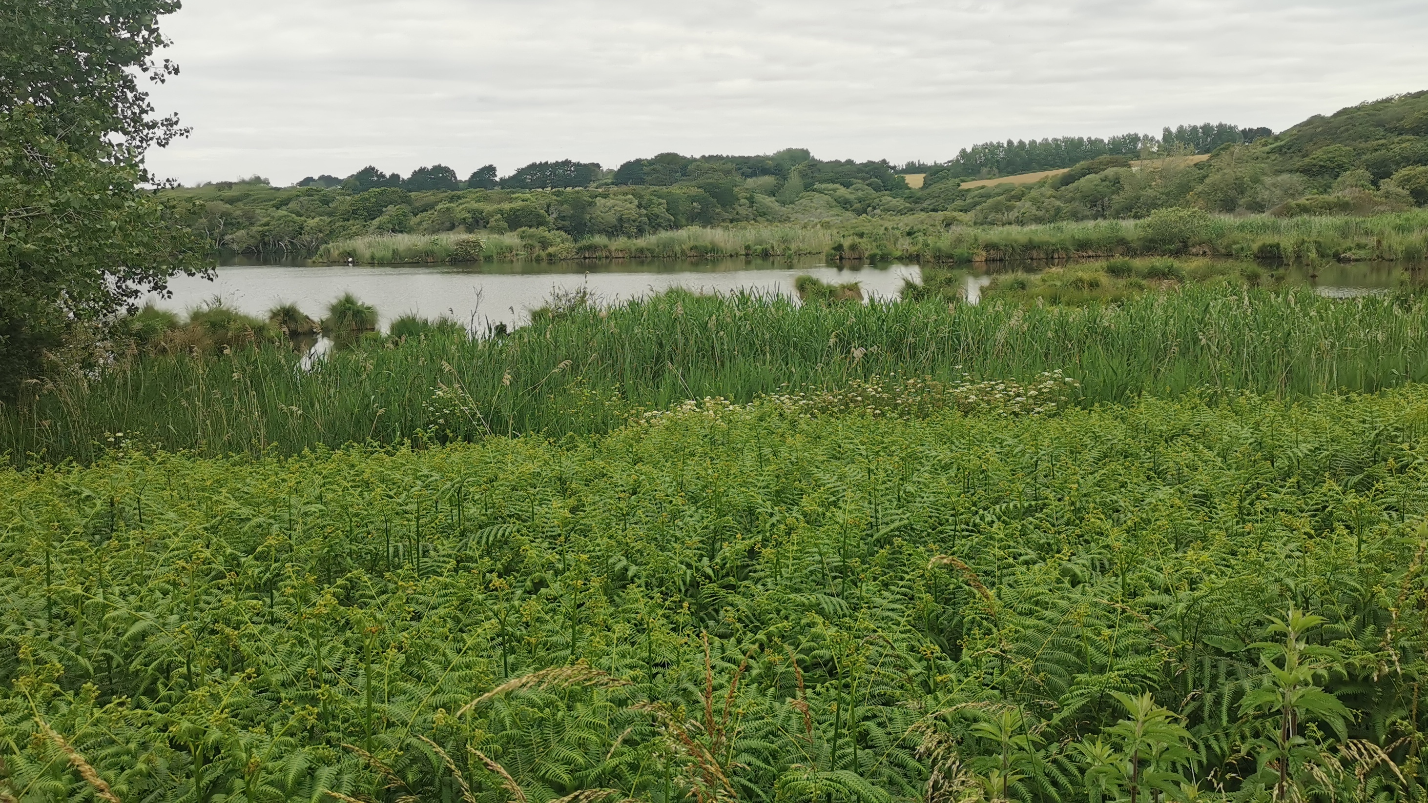 26-IMG_20210619_101118