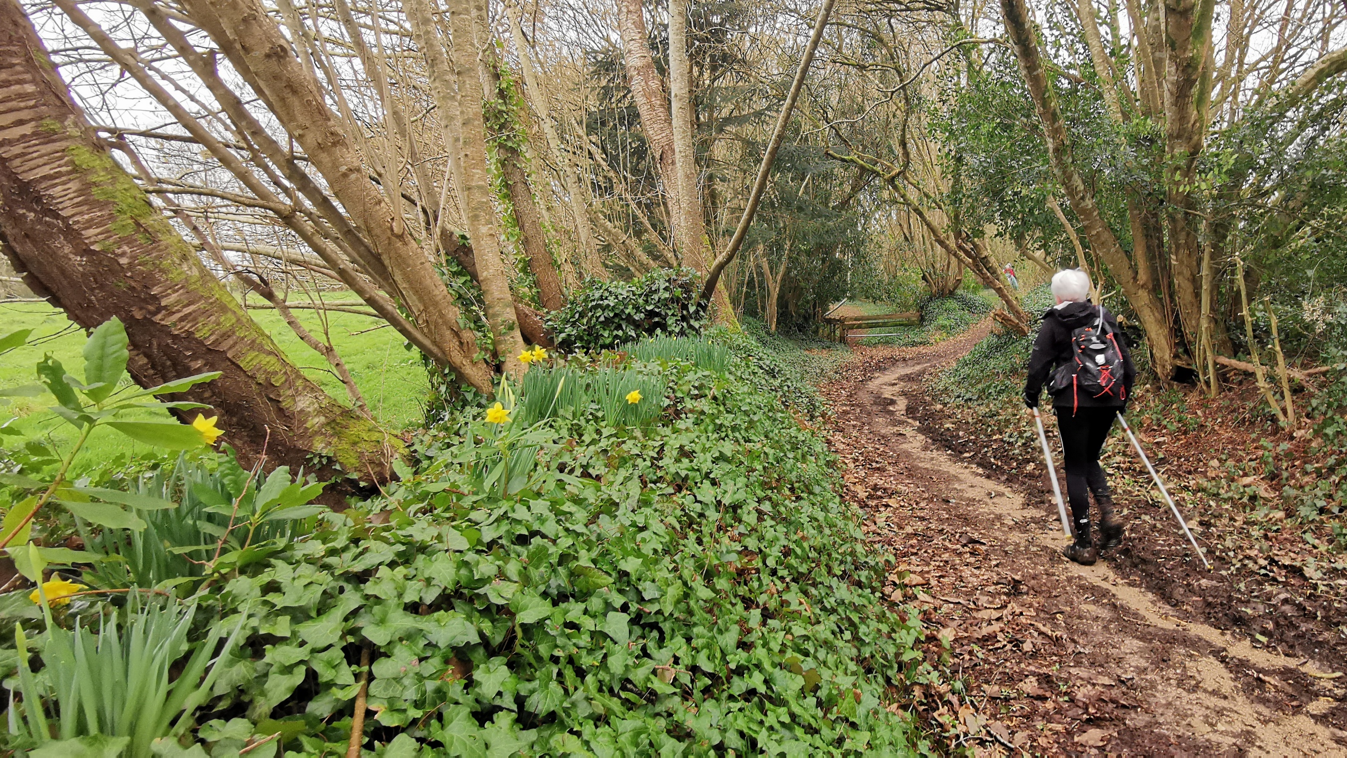 077-IMG_20210220_112926