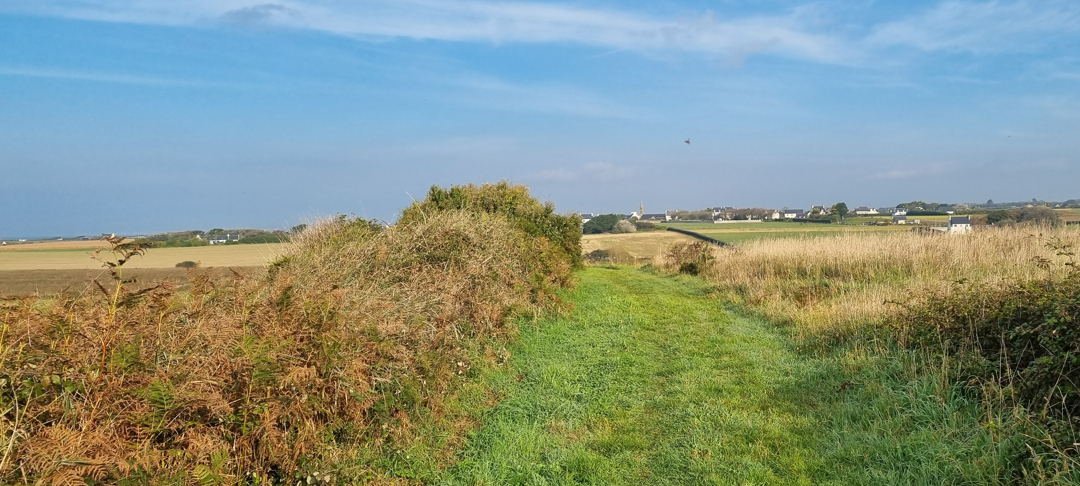 44-20211017_105040(0)