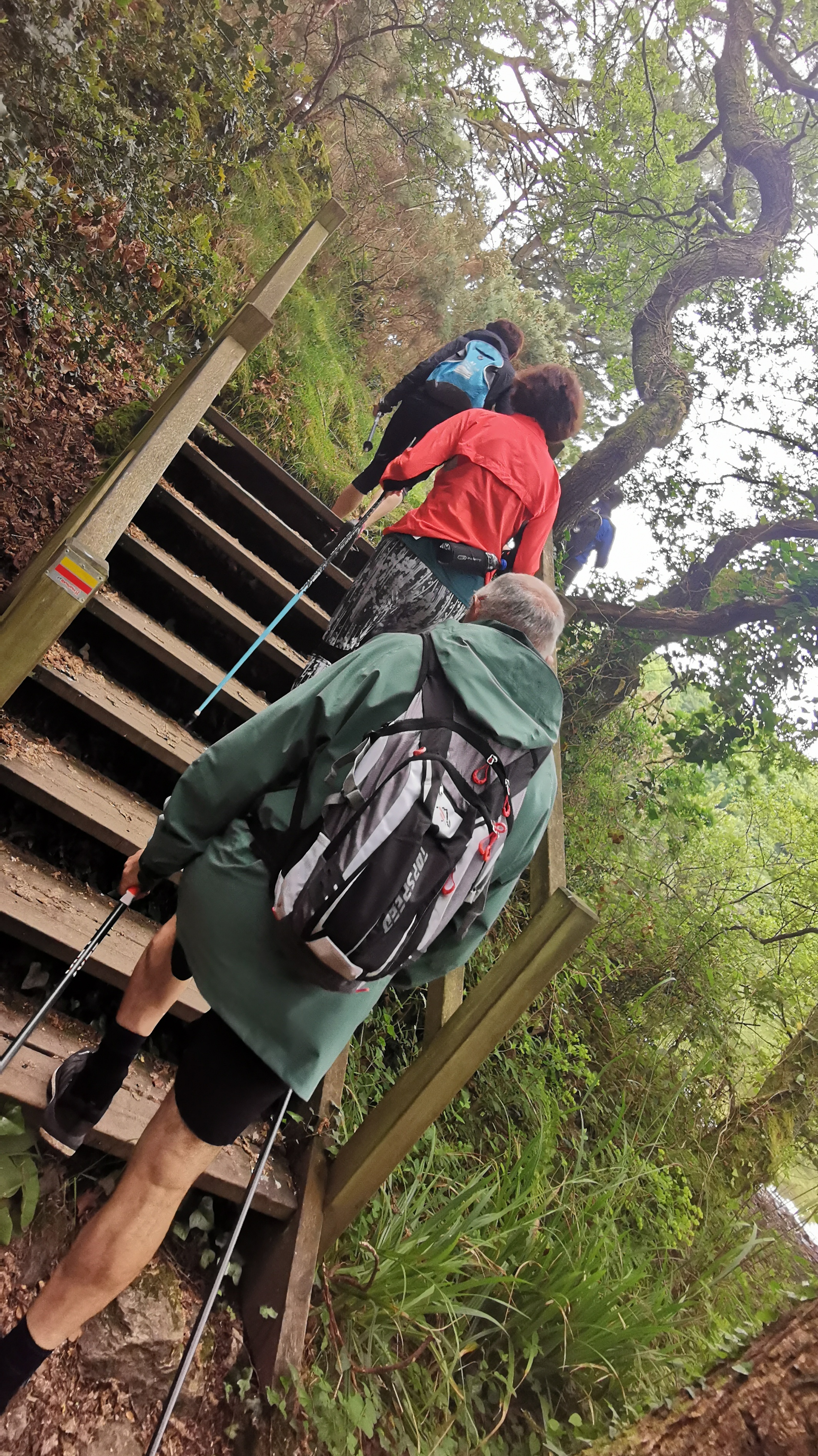 005-IMG_20210606_094013_1