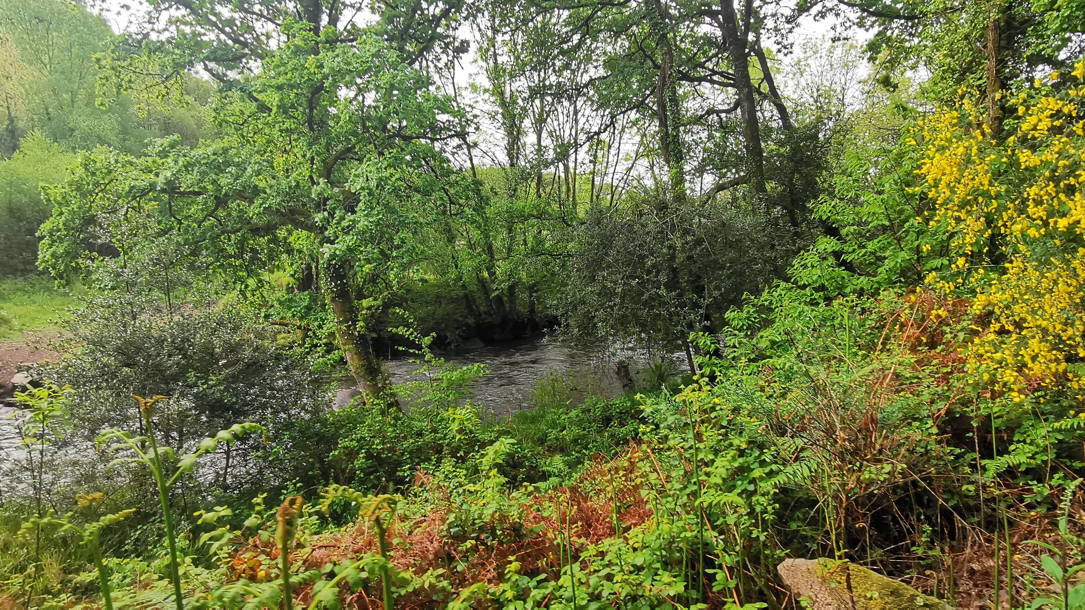 026-IMG_20210513_101016_1