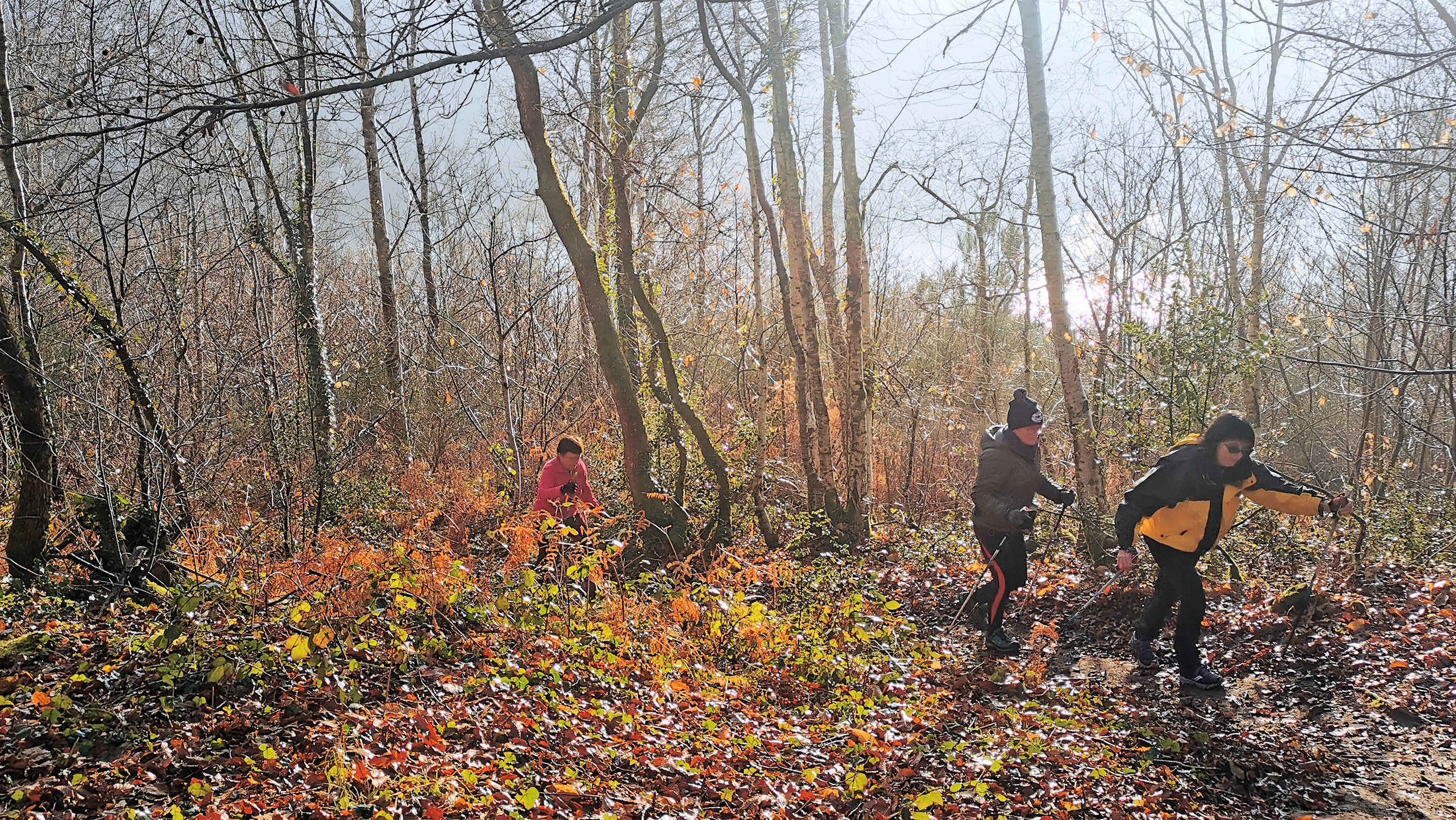 39-IMG_20210107_104452