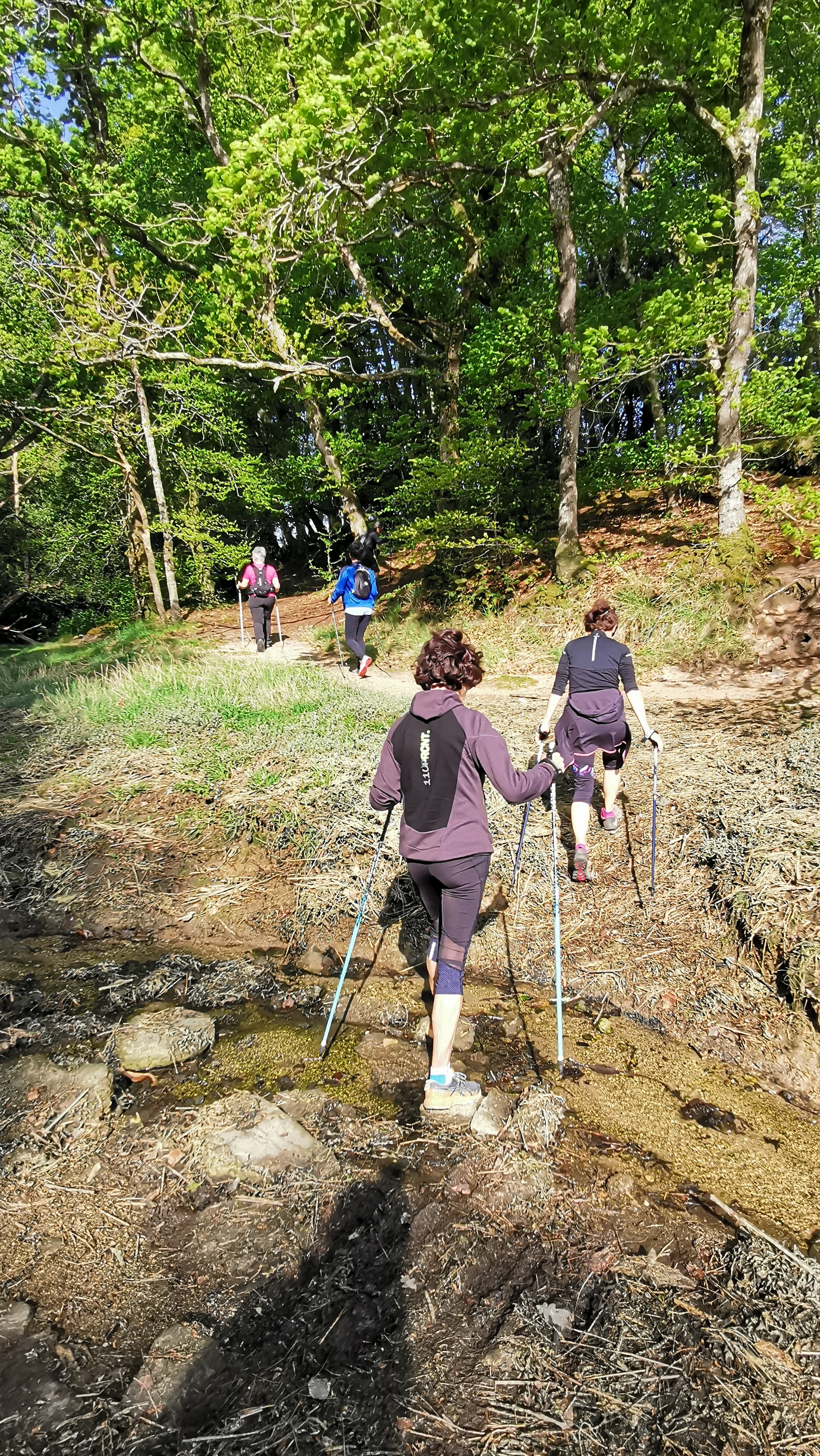 36-IMG_20210425_104238_1