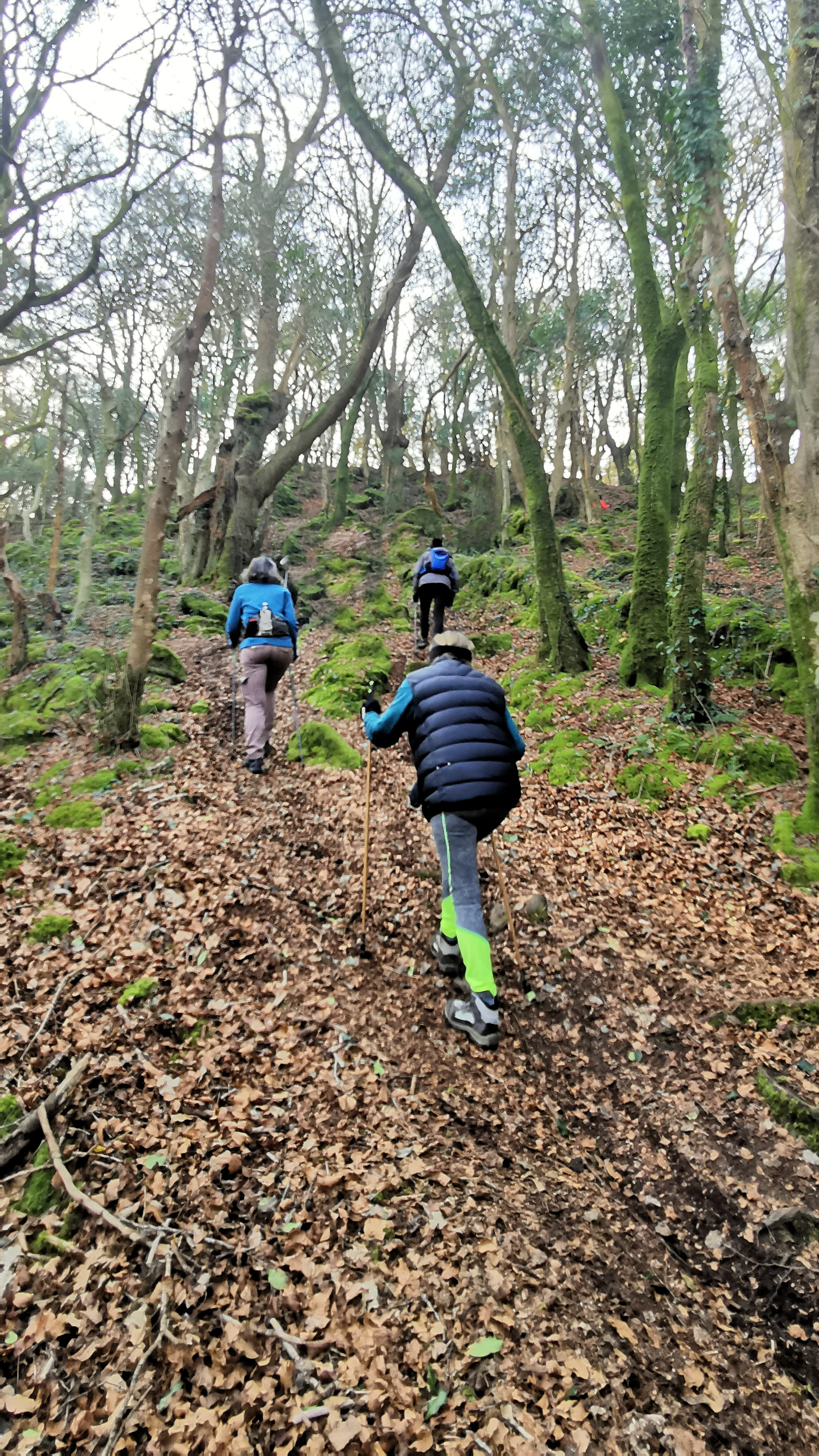 28-IMG_20210307_102301