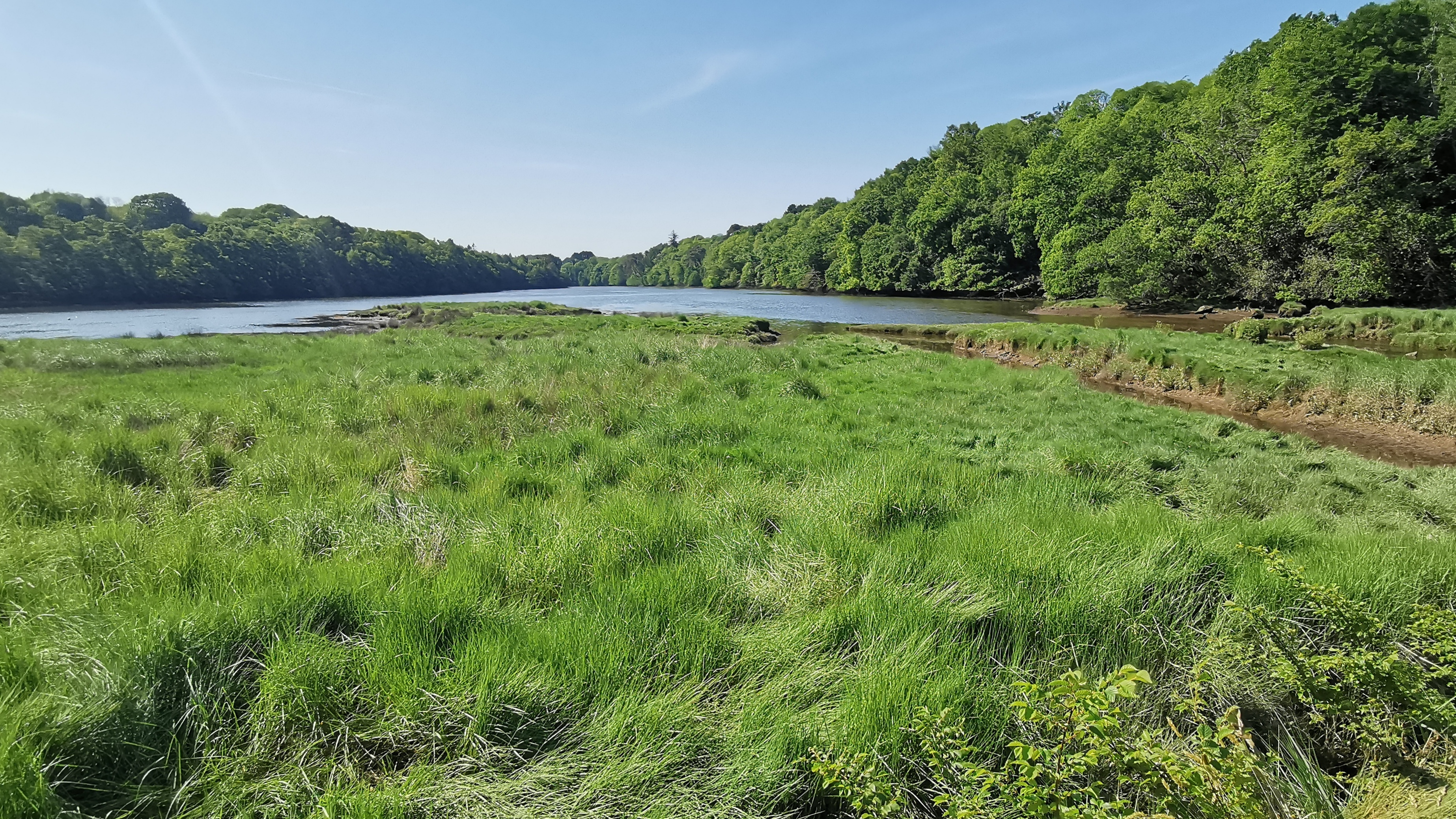 39-IMG_20210531_105914