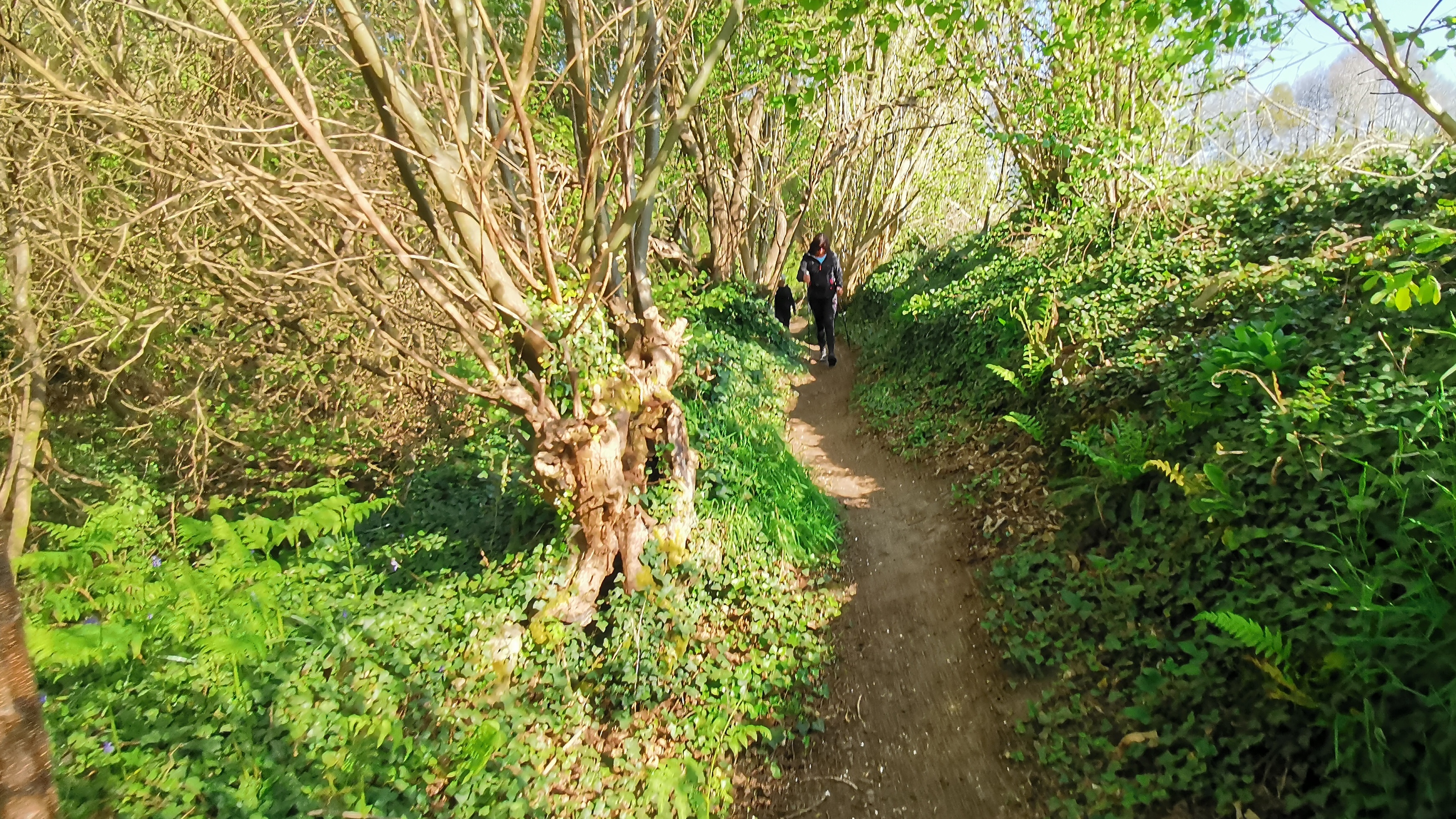 14-IMG_20210425_100359_1