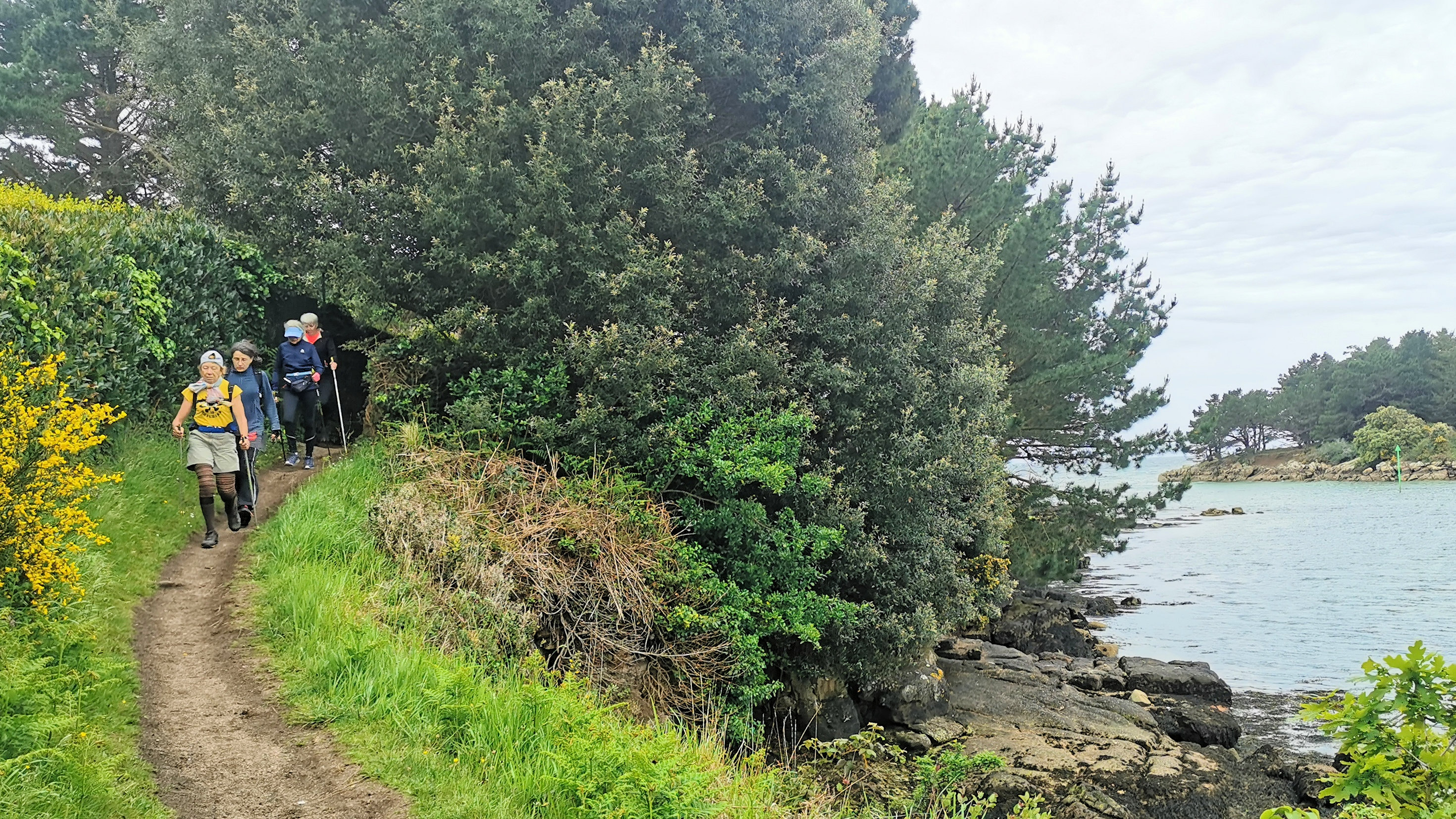 74-IMG_20210520_105305