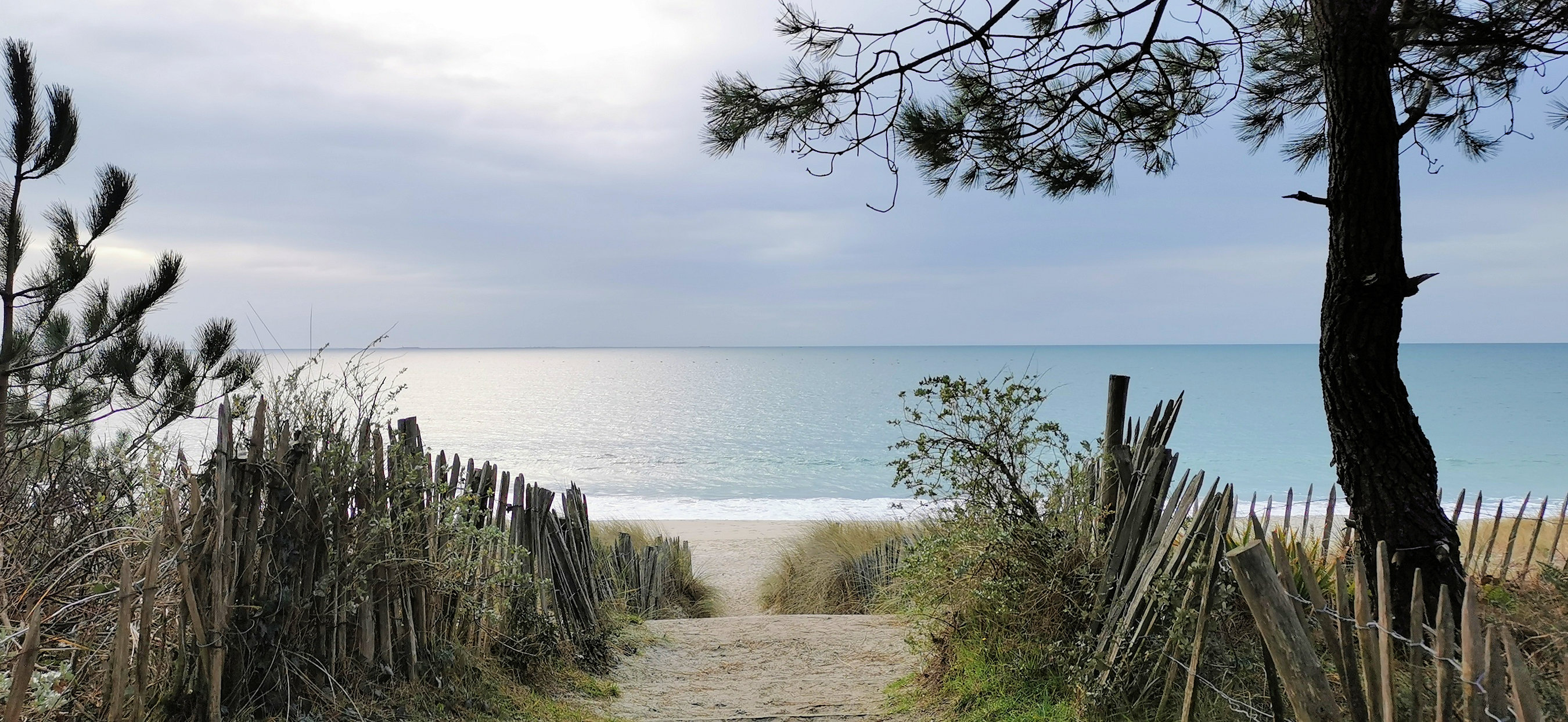 05-IMG_20210118_103057