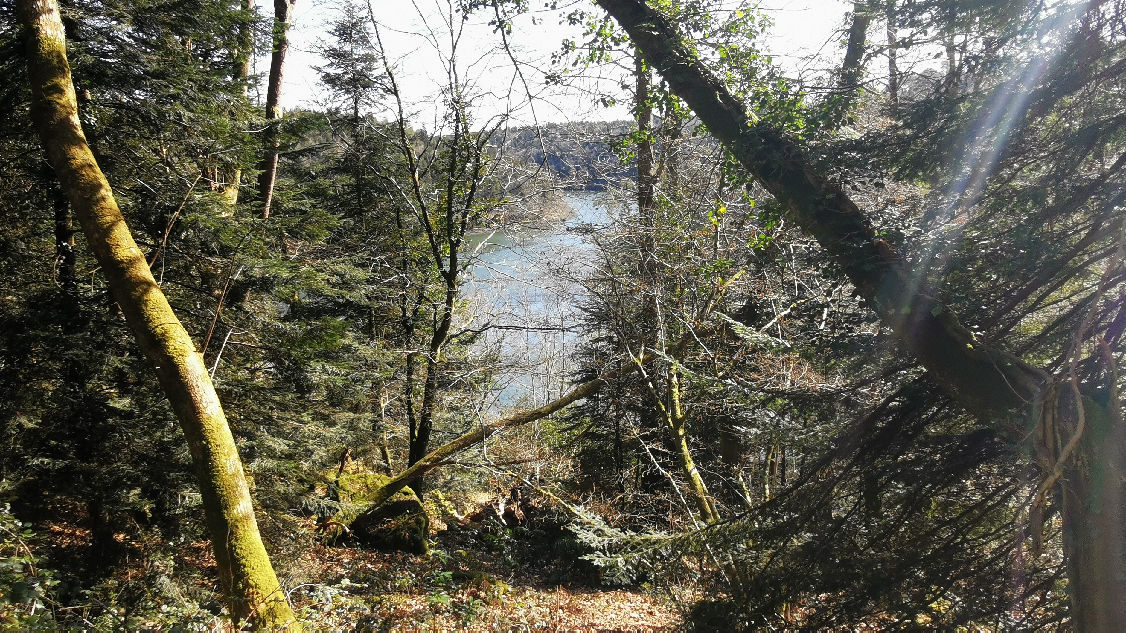 54-IMG_20210320_114024