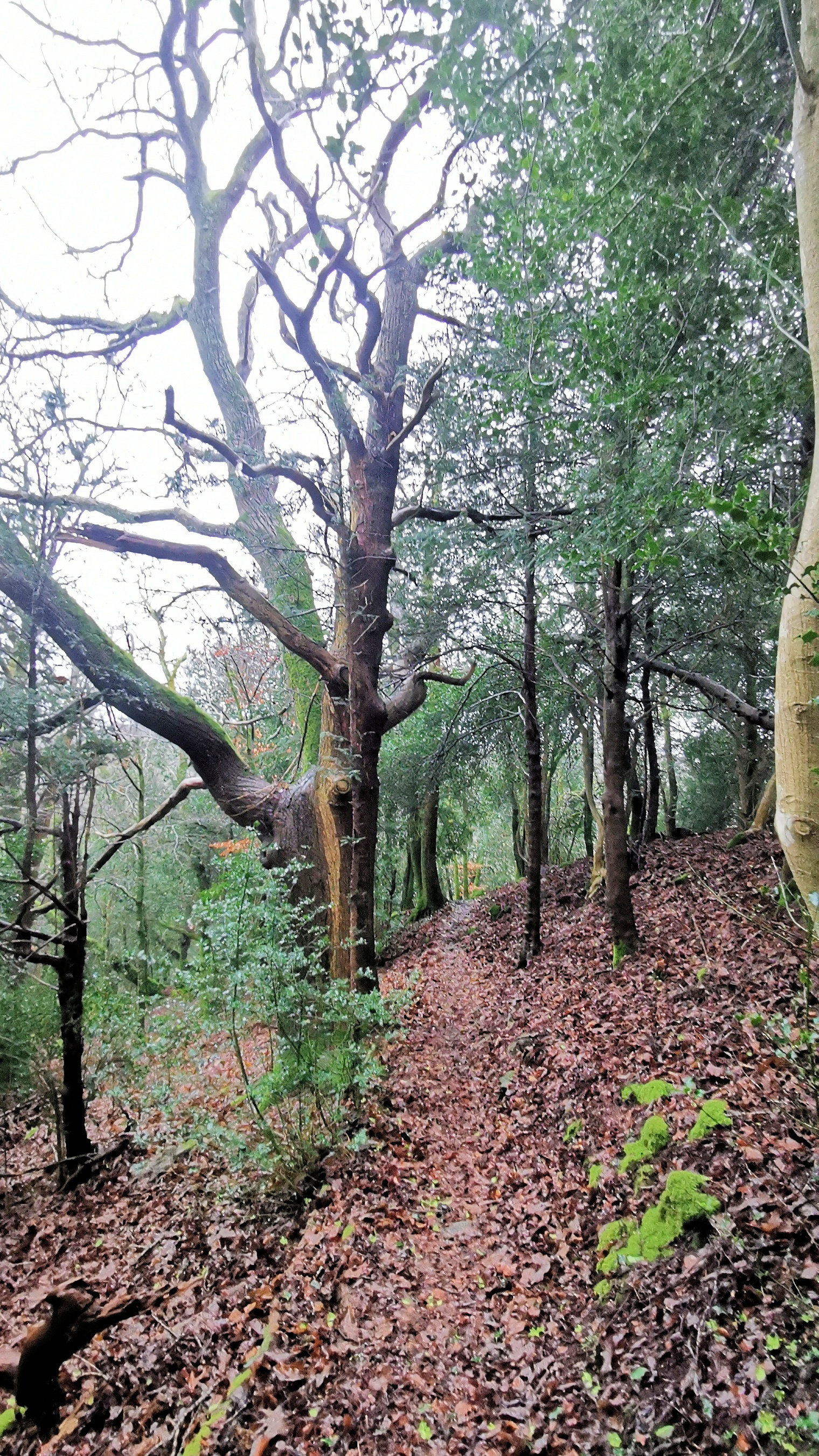 70-IMG_20210121_113724