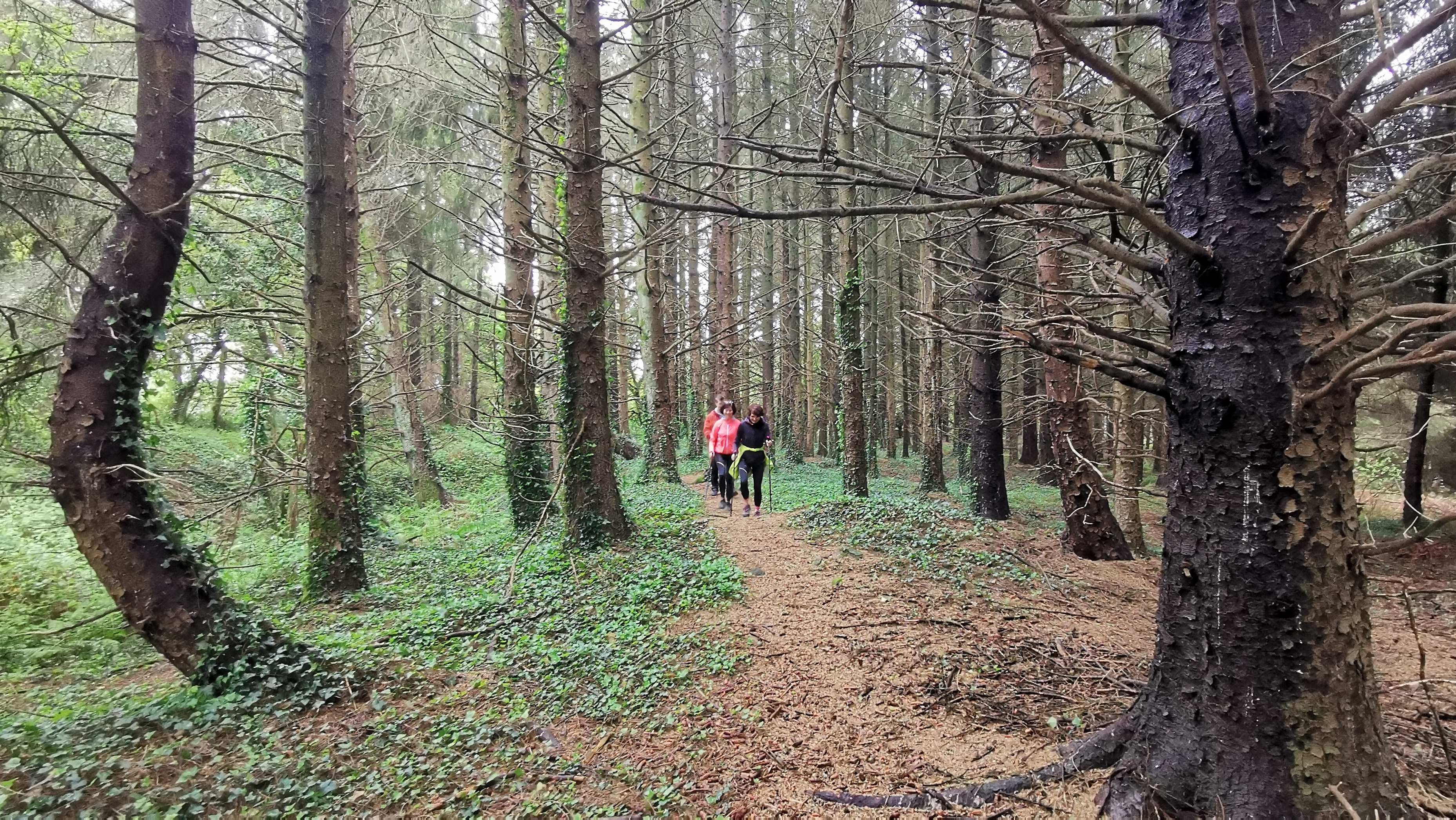 49-IMG_20210508_111205