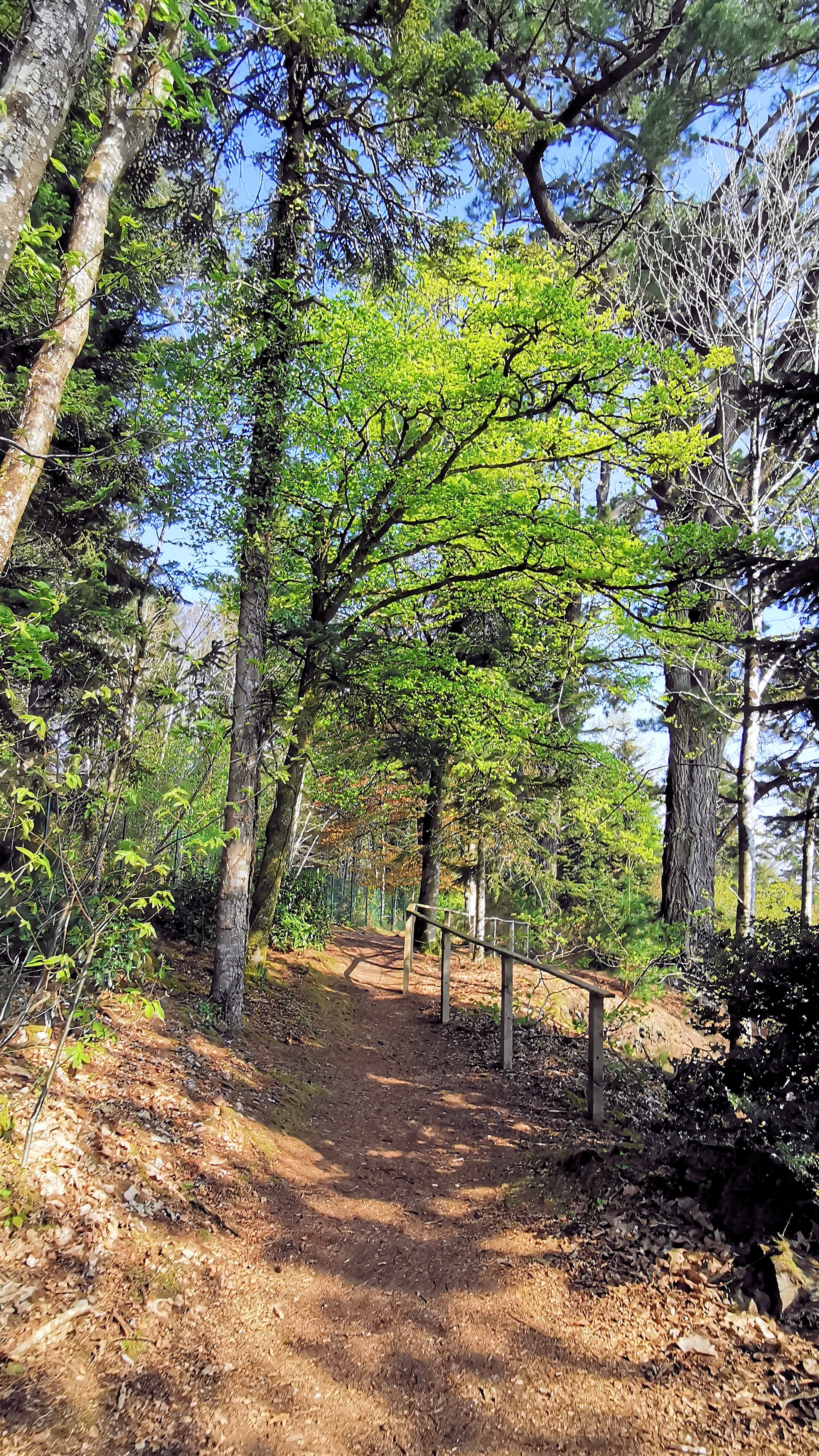 53-IMG_20210422_111301