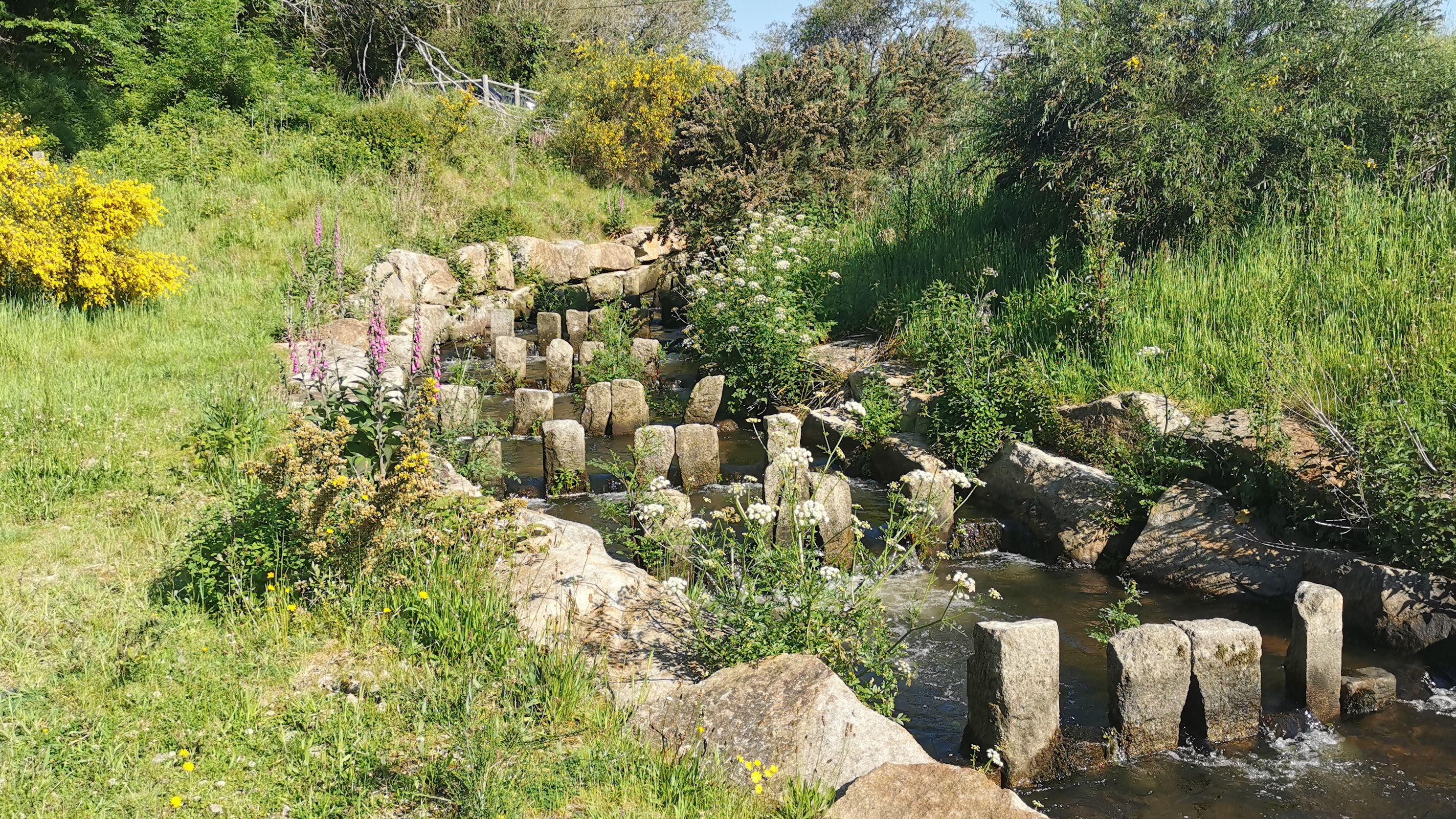 08-IMG_20210531_100118