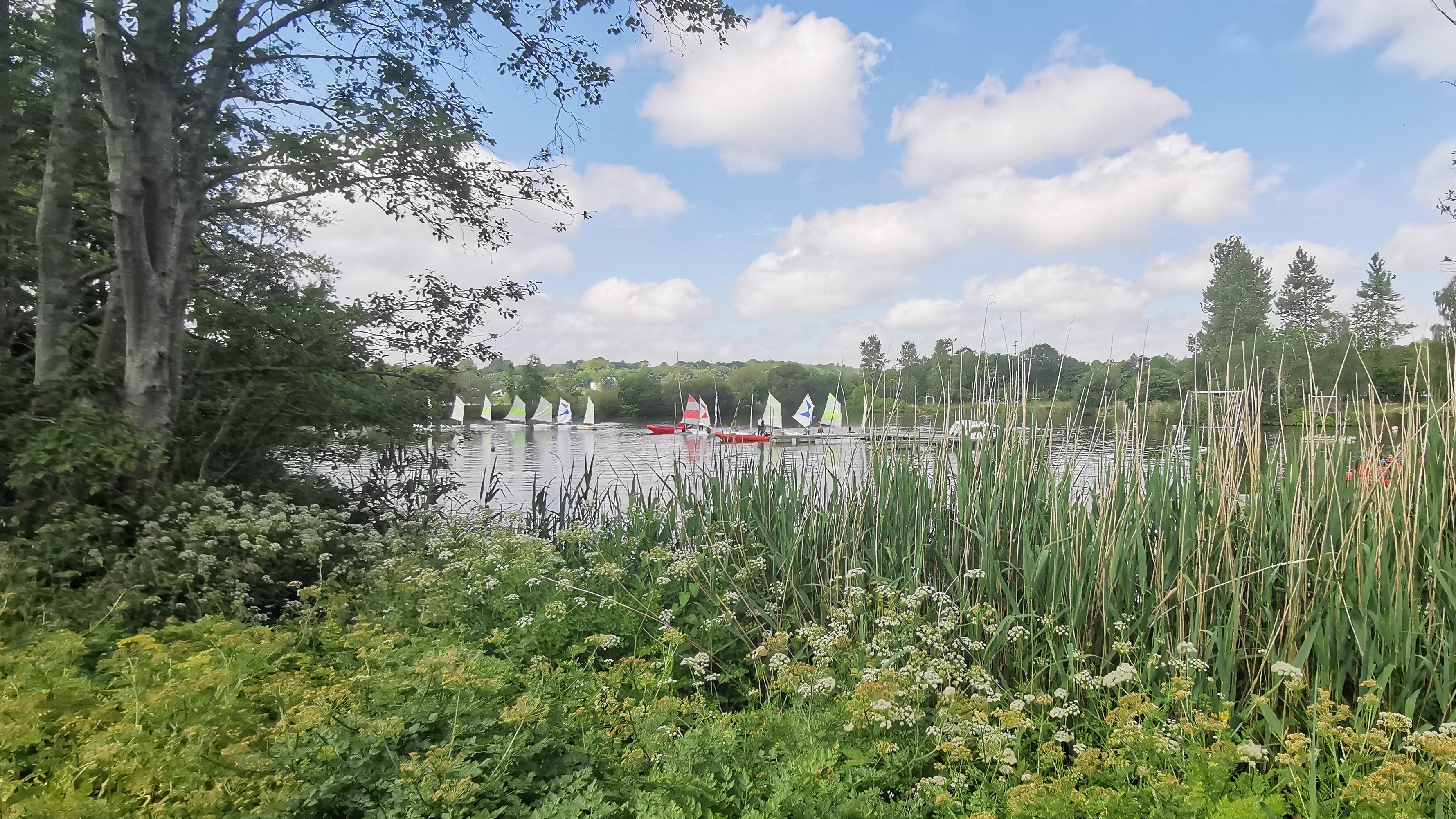 31-IMG_20210608_112634_1