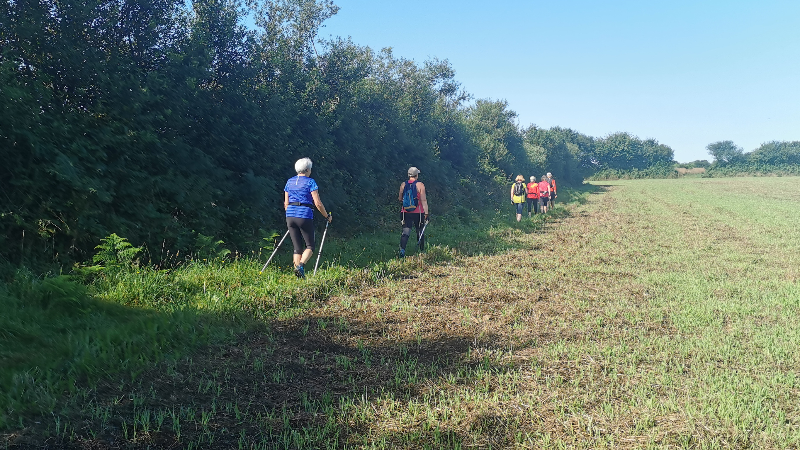 17-IMG_20210812_105126