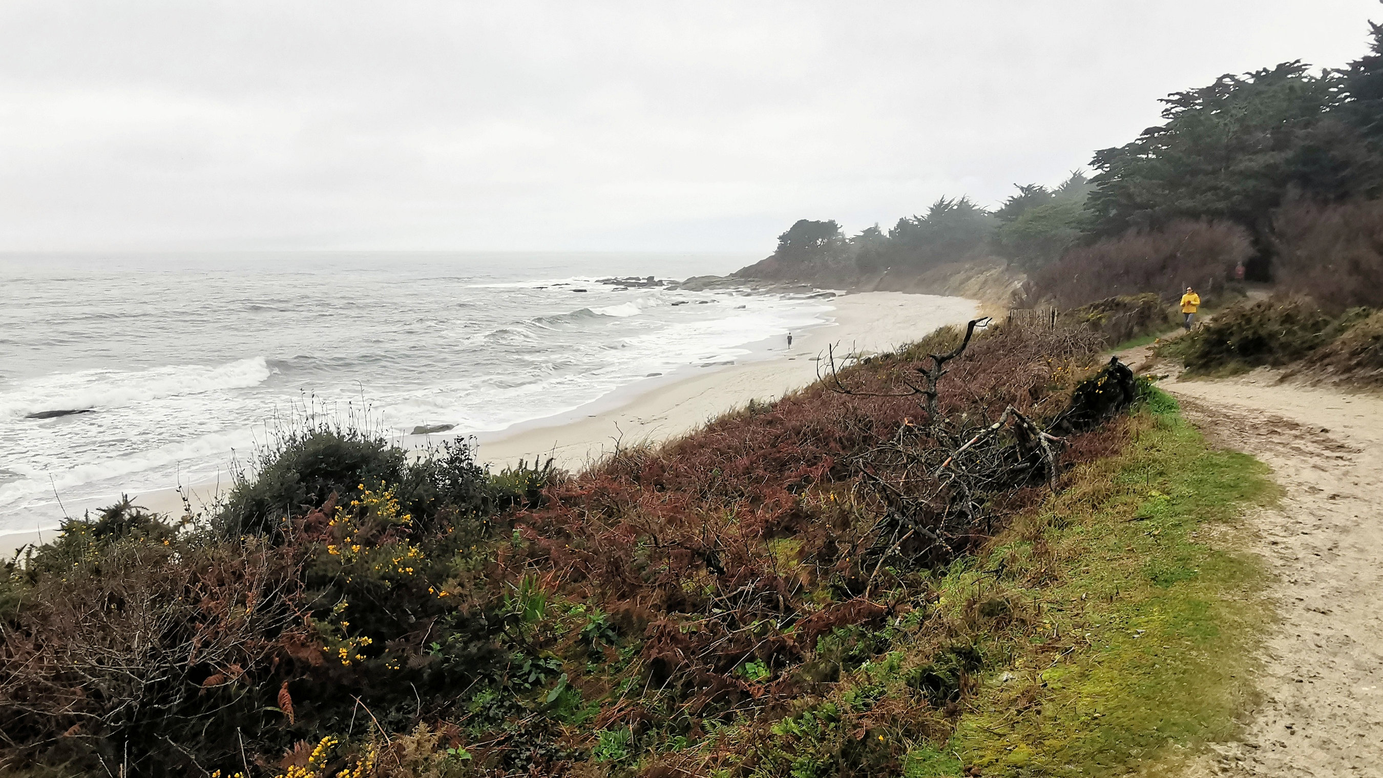 20-IMG_20210221_104415