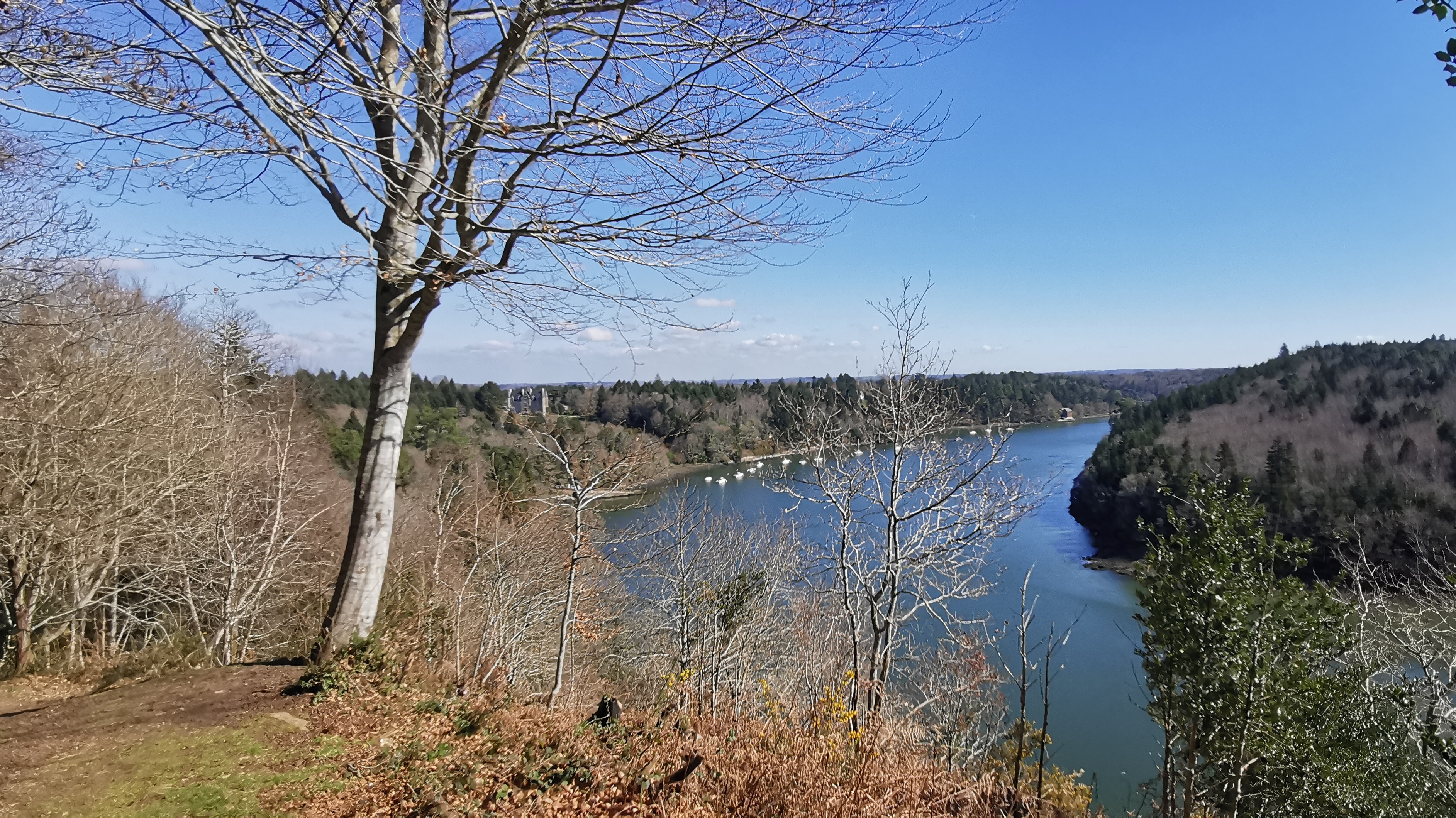 57-IMG_20210320_115251