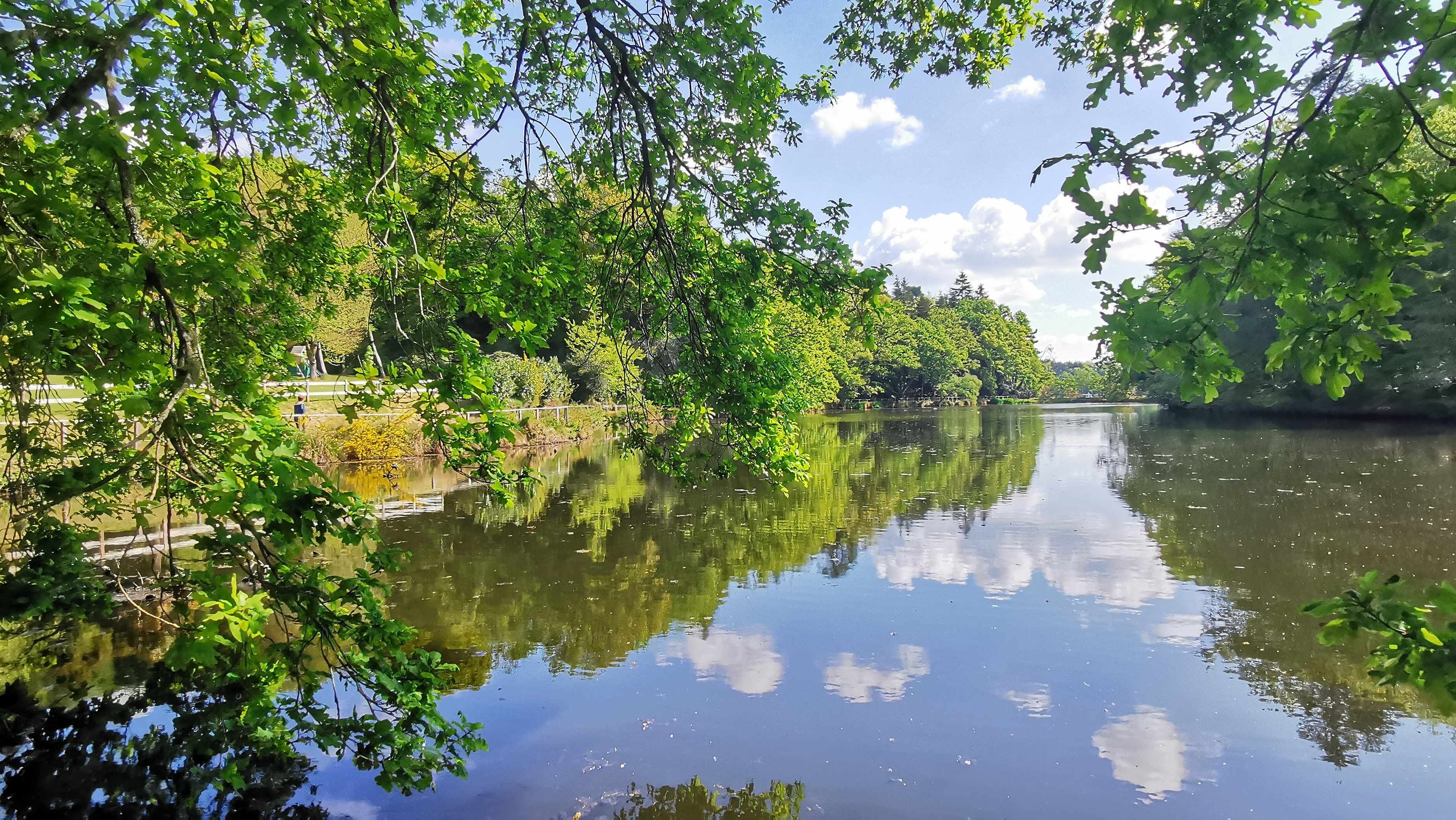 43-IMG_20210501_111355