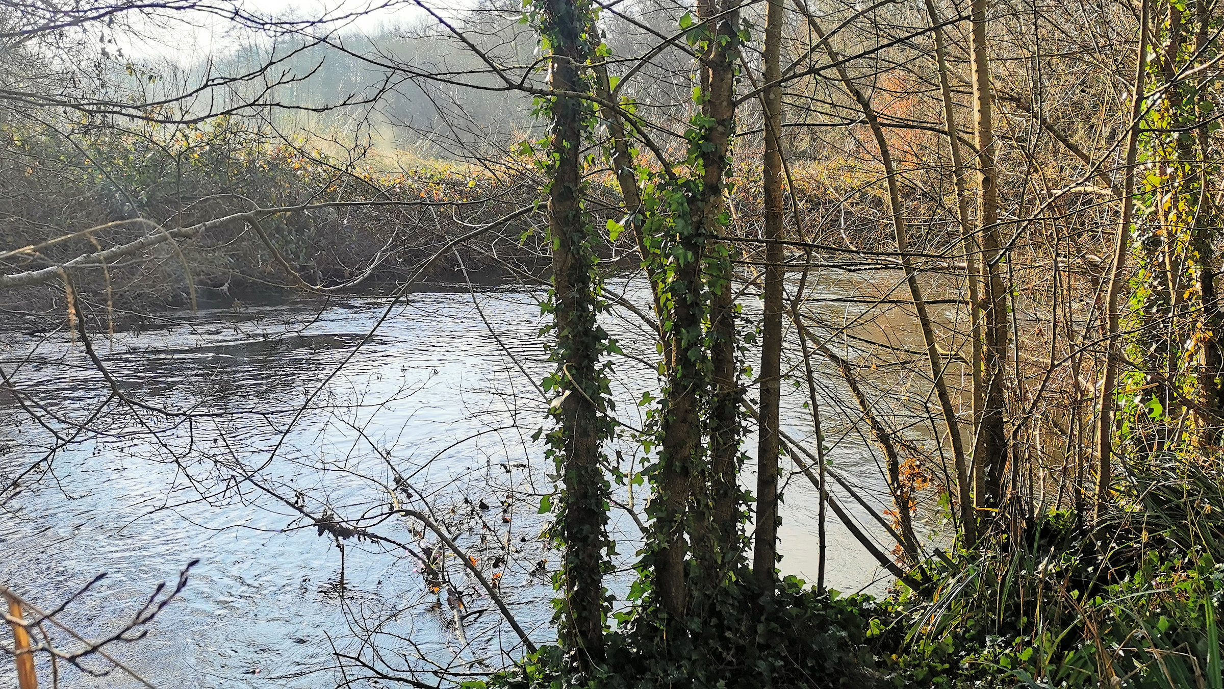 12-IMG_20210105_110559