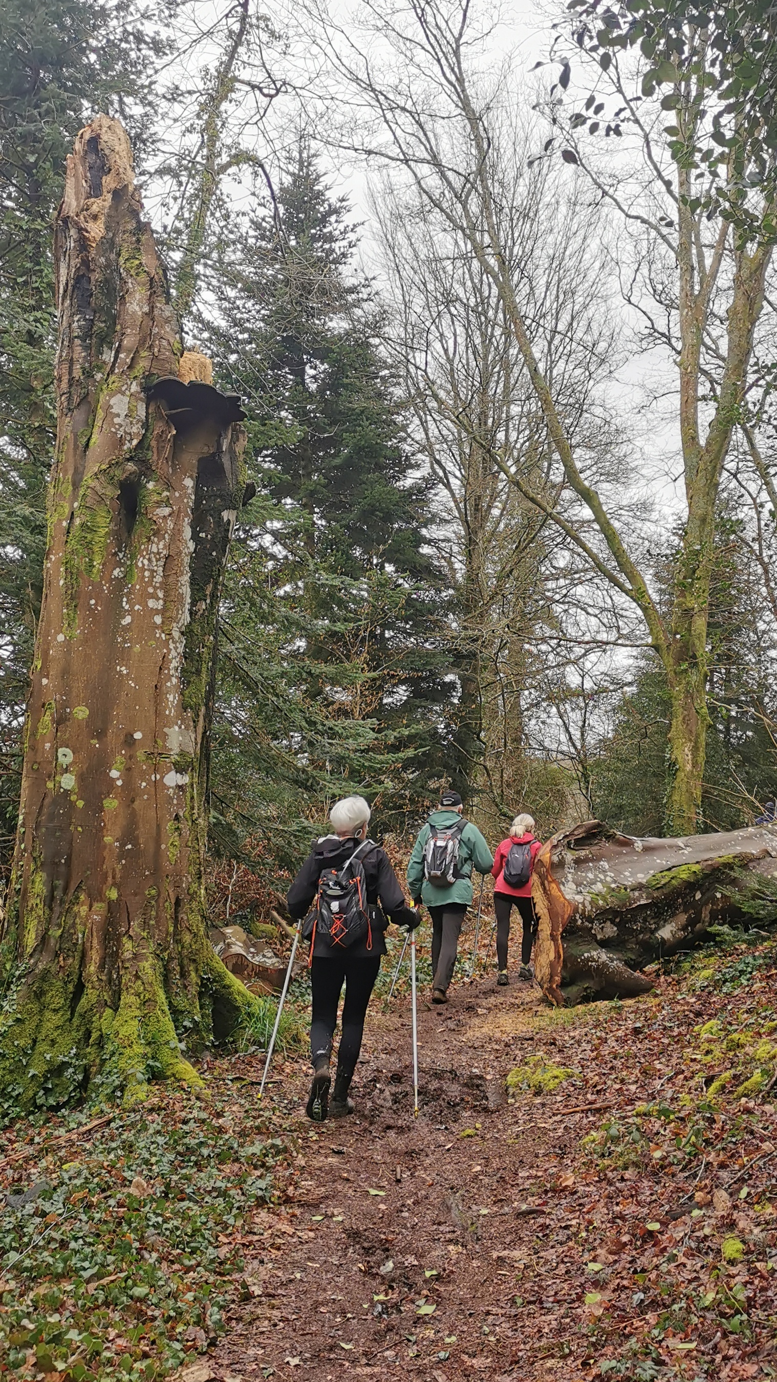 043-IMG_20210220_105529