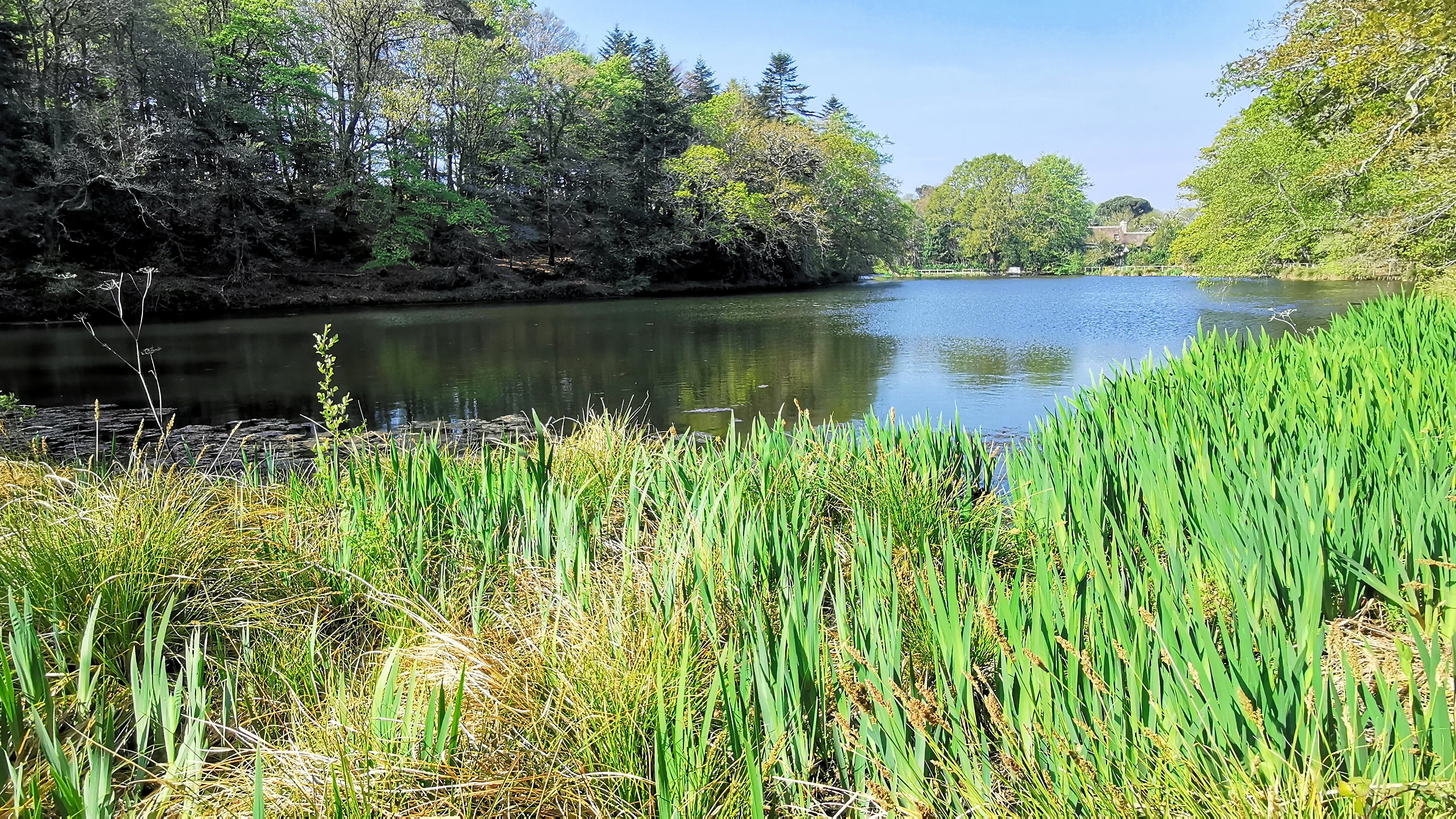 46-IMG_20210422_111038