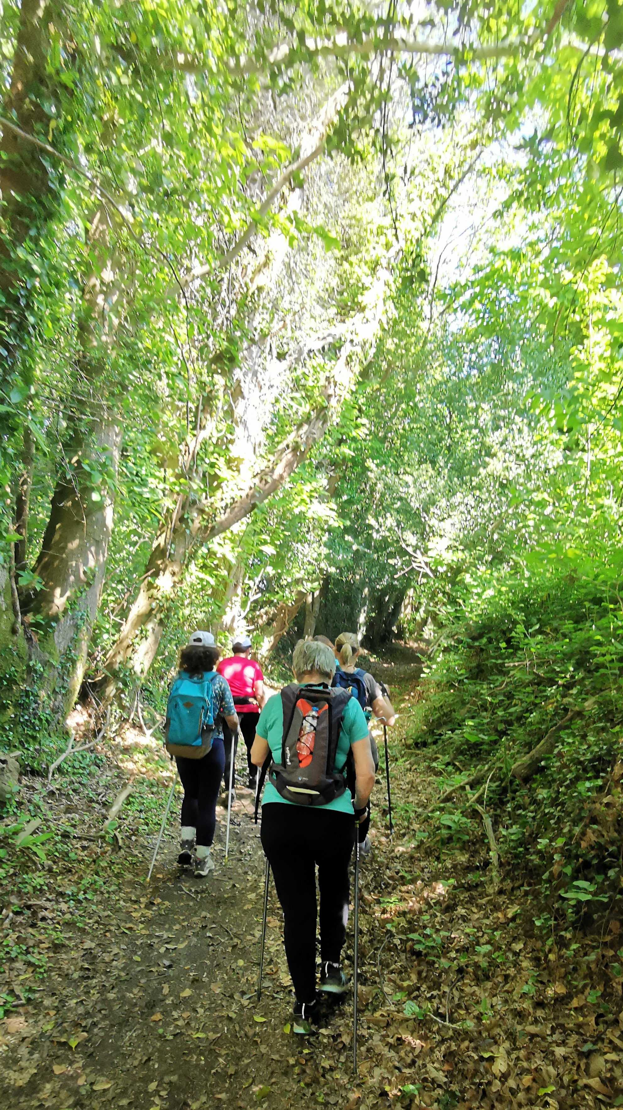 51-IMG_20210531_111653