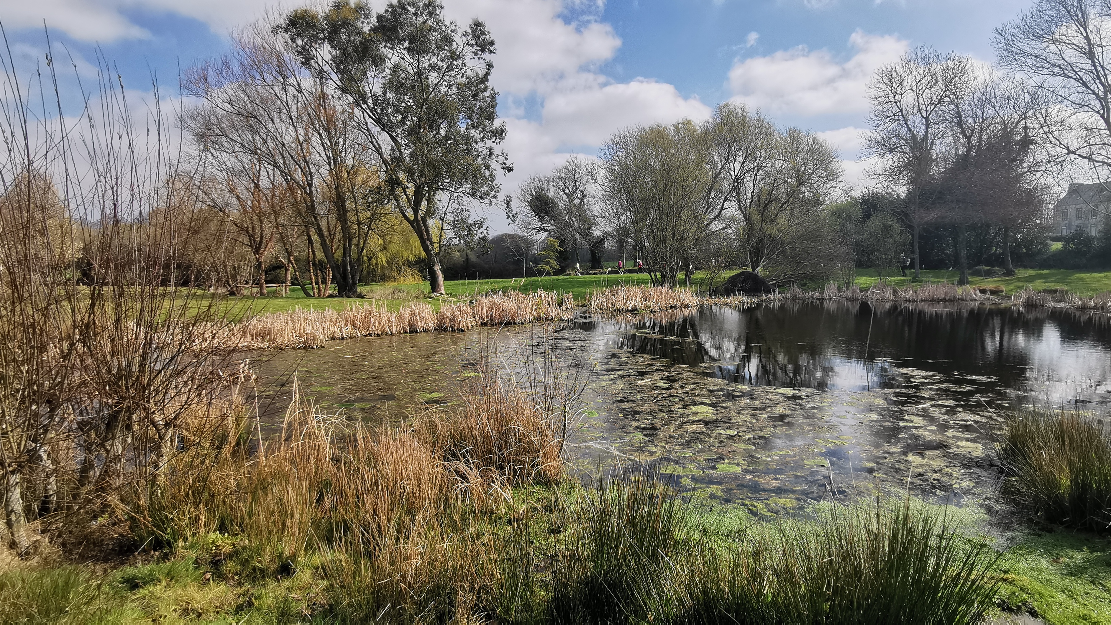 25-IMG_20210323_113648